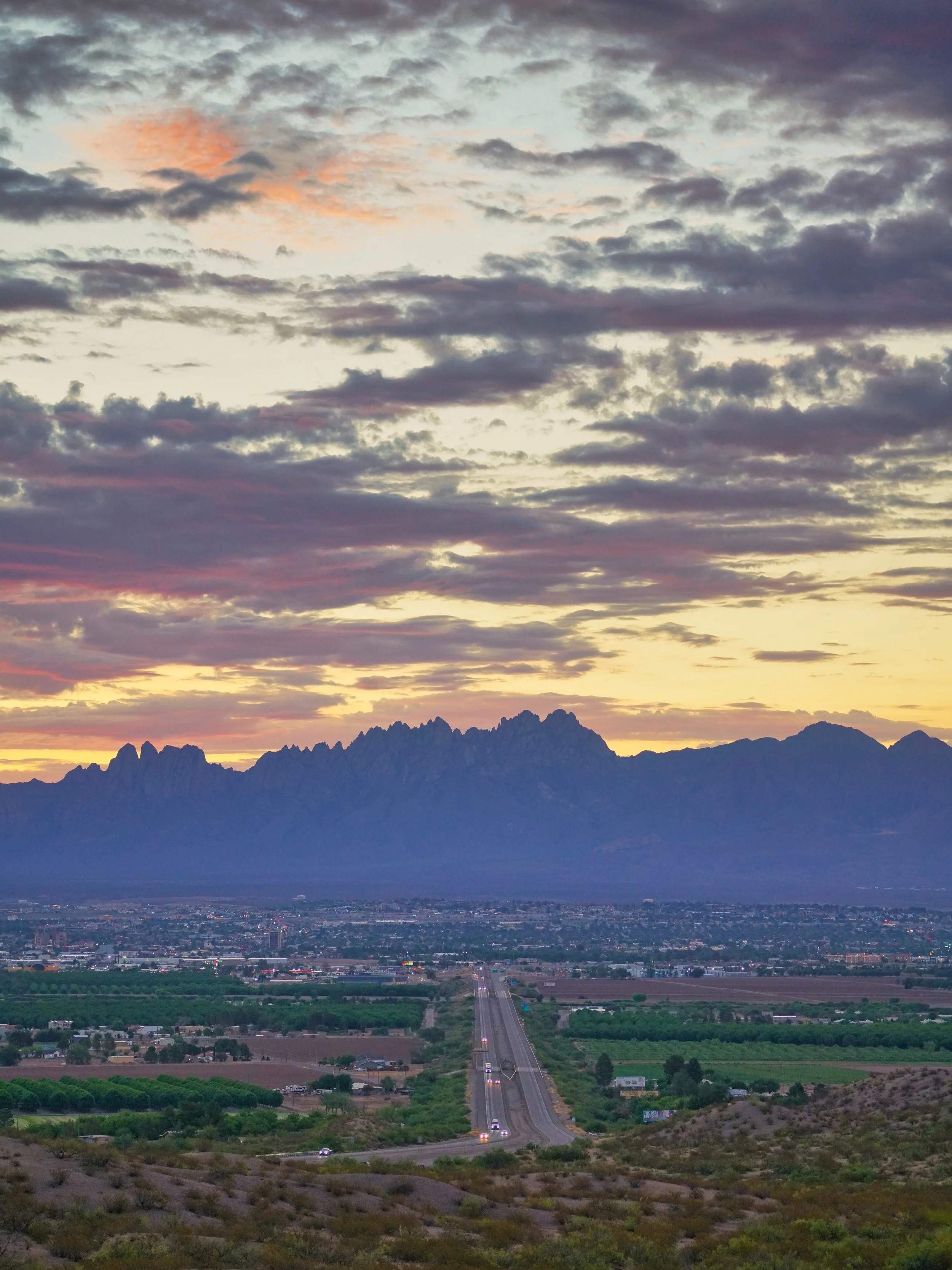 Morning Painted Gold 001