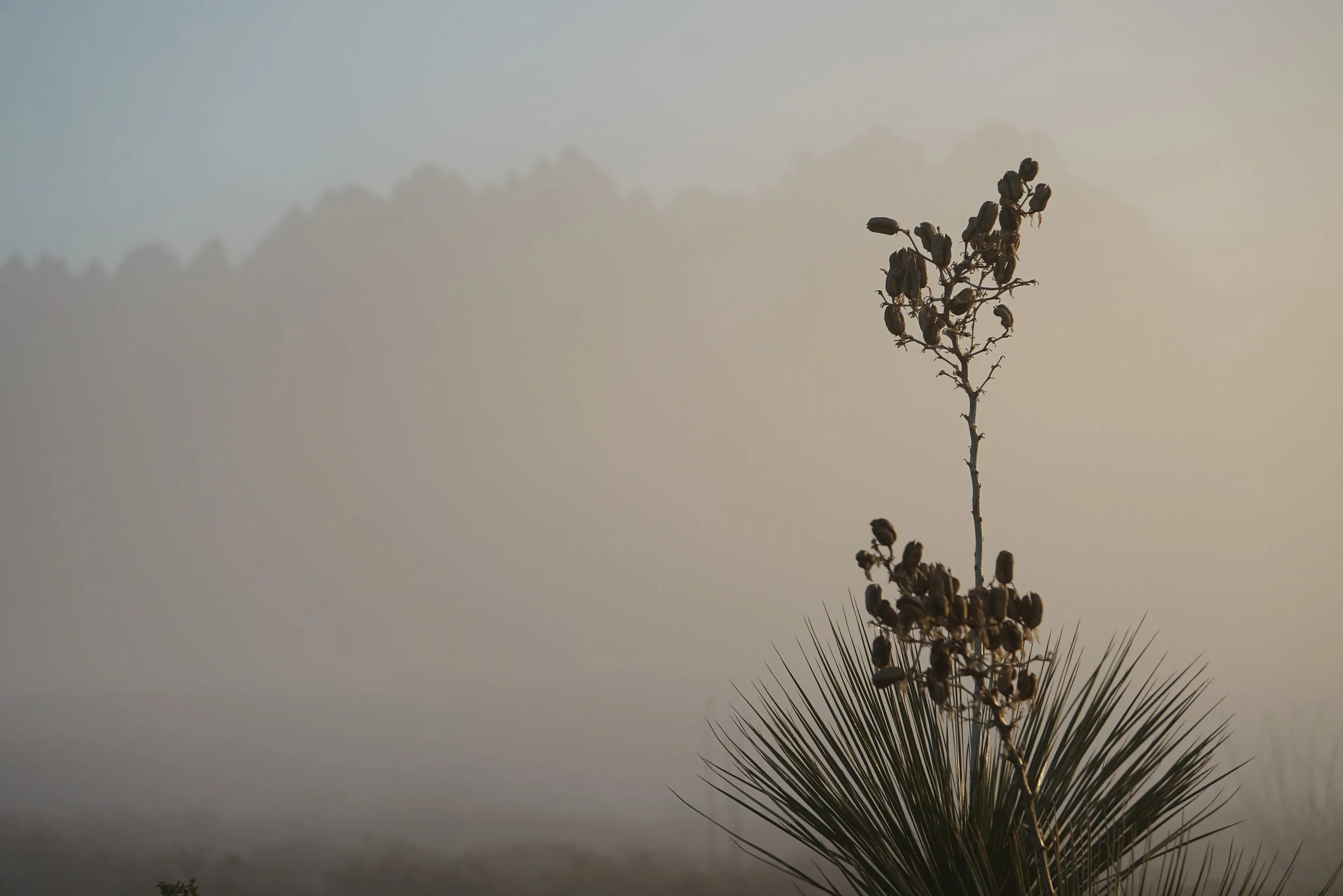 Land of Enchantment 007