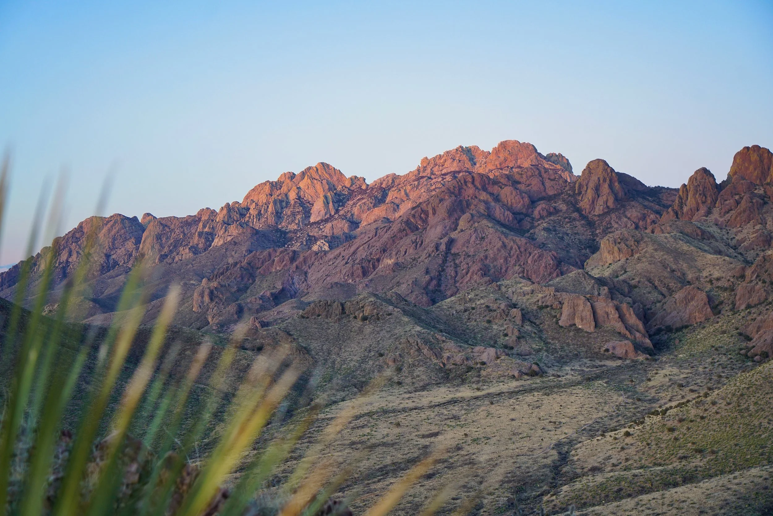 New Mexico Afterglow 010