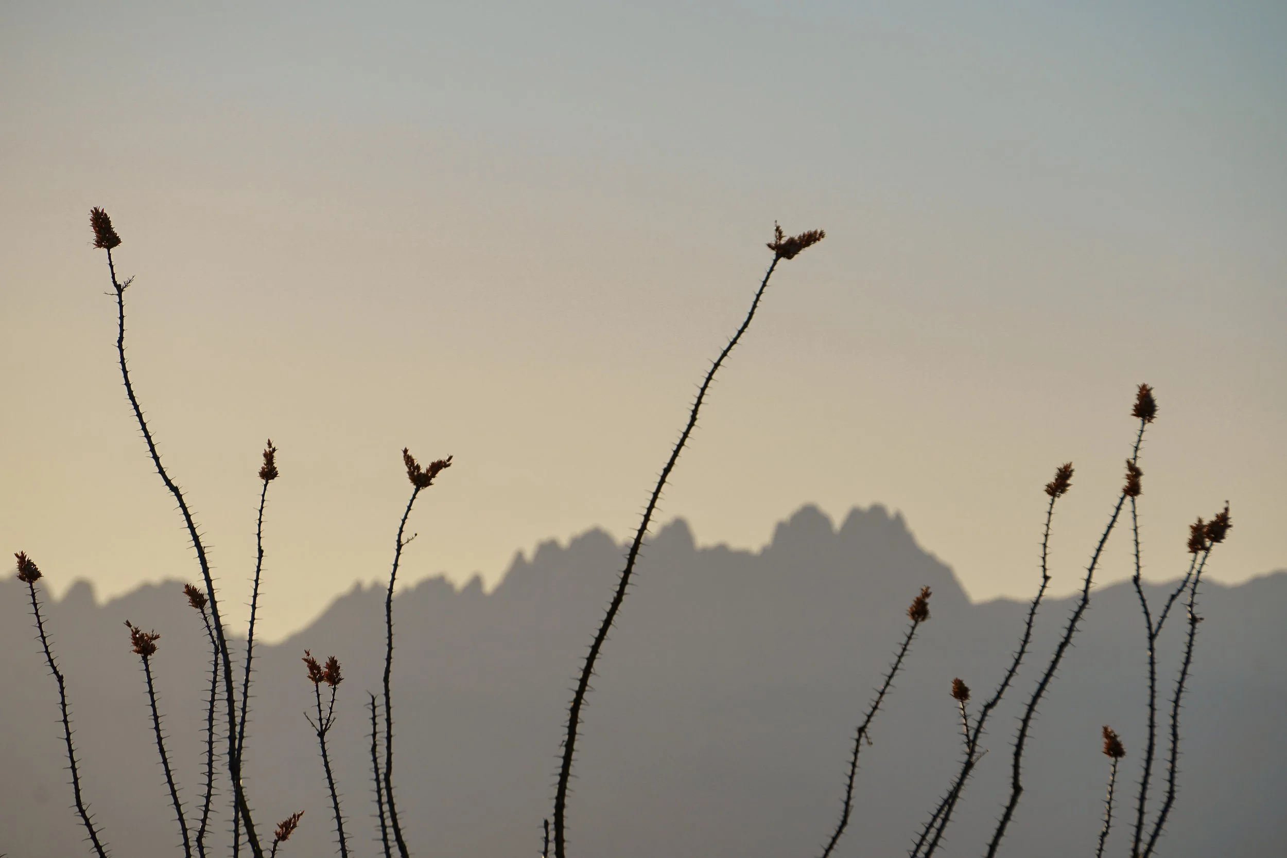 Land of Enchantment 005