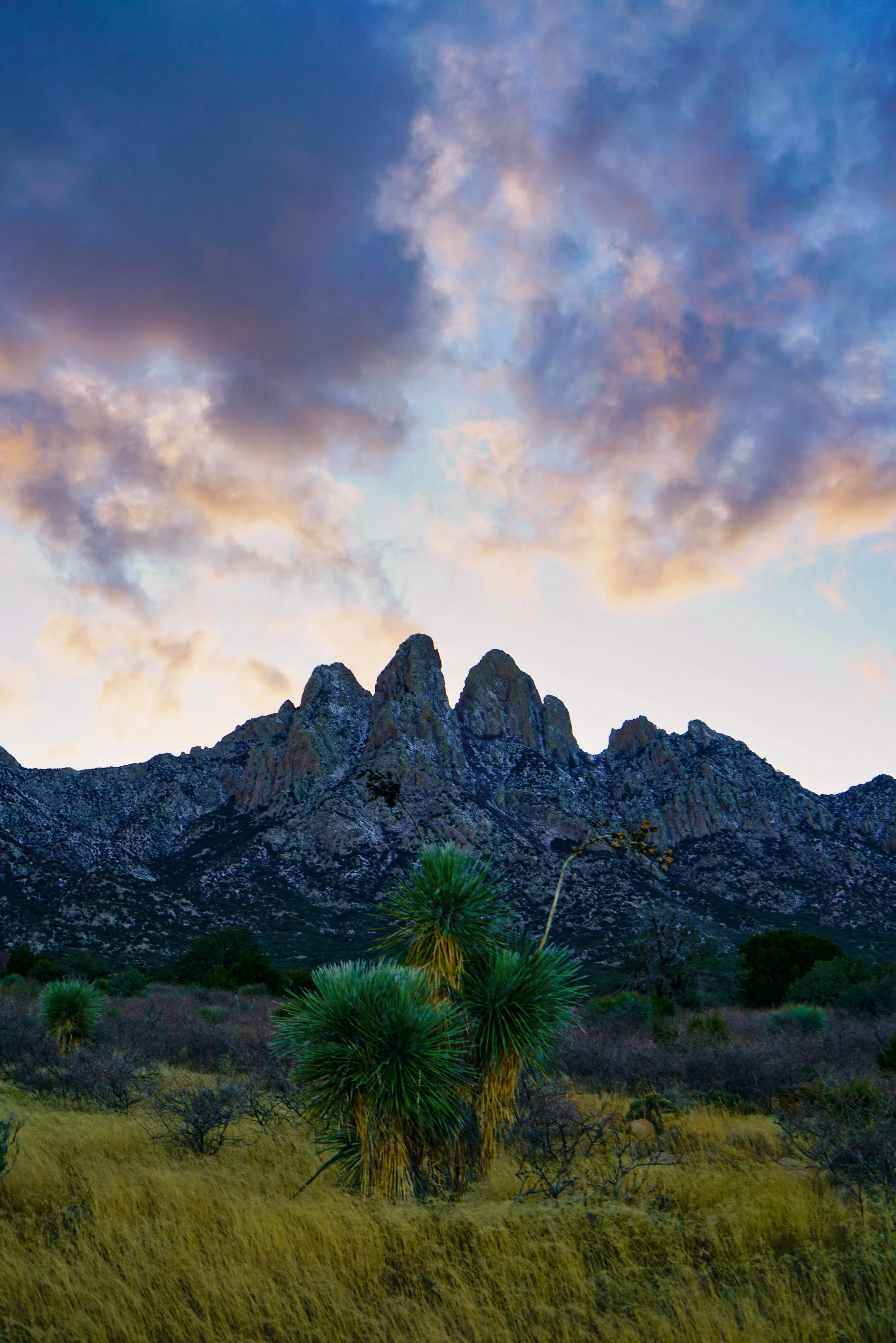 New Mexico Afterglow 016