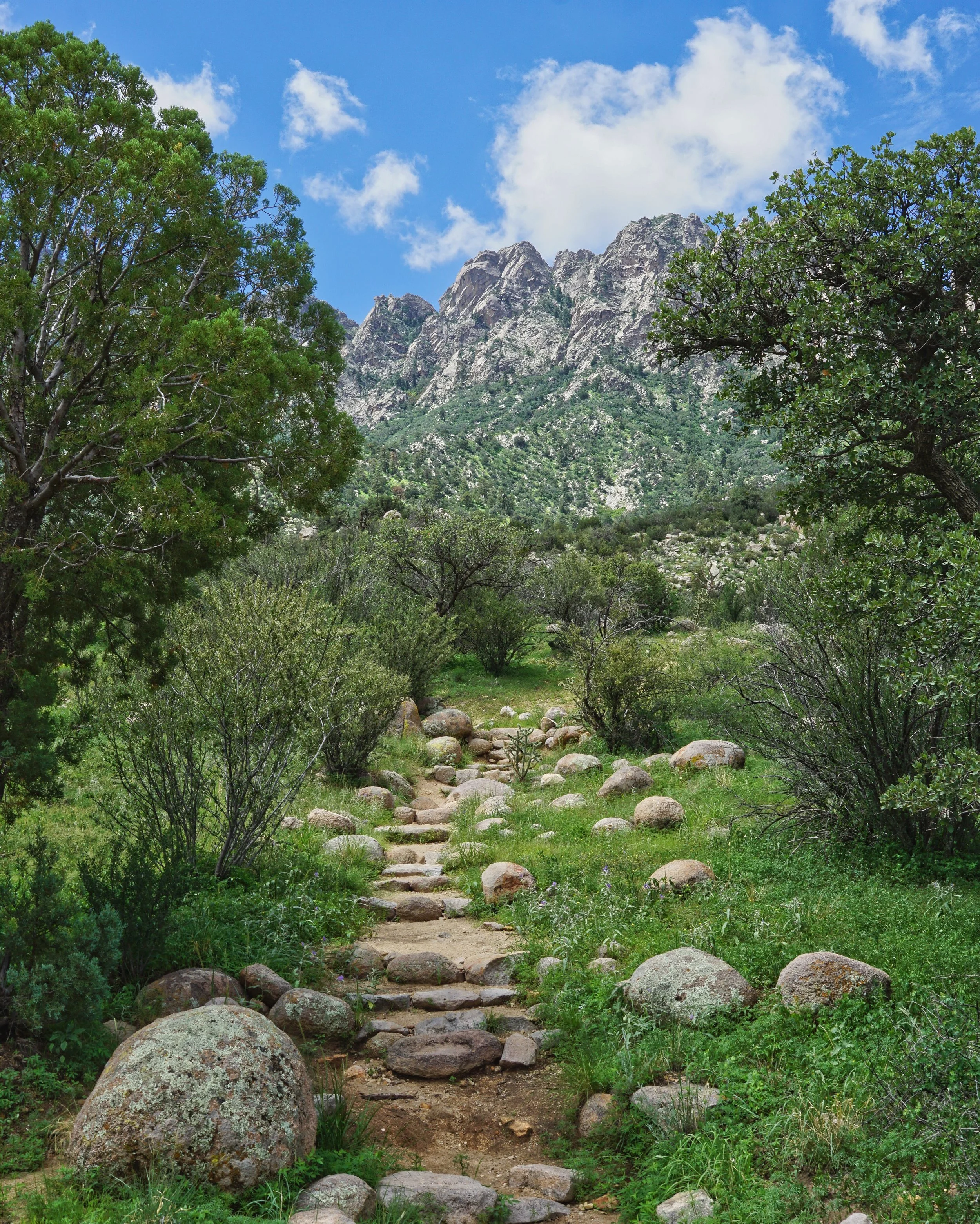 Land of Enchantment 015