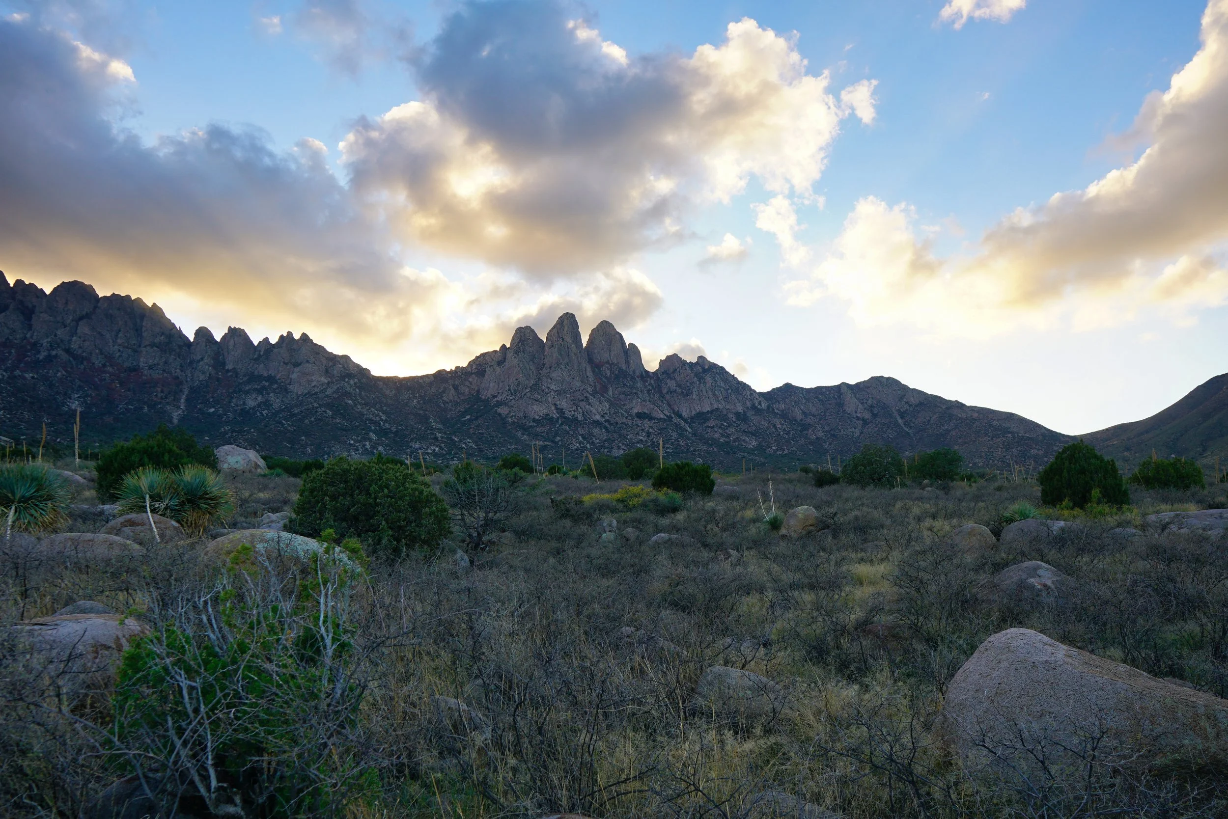 New Mexico Afterglow 006