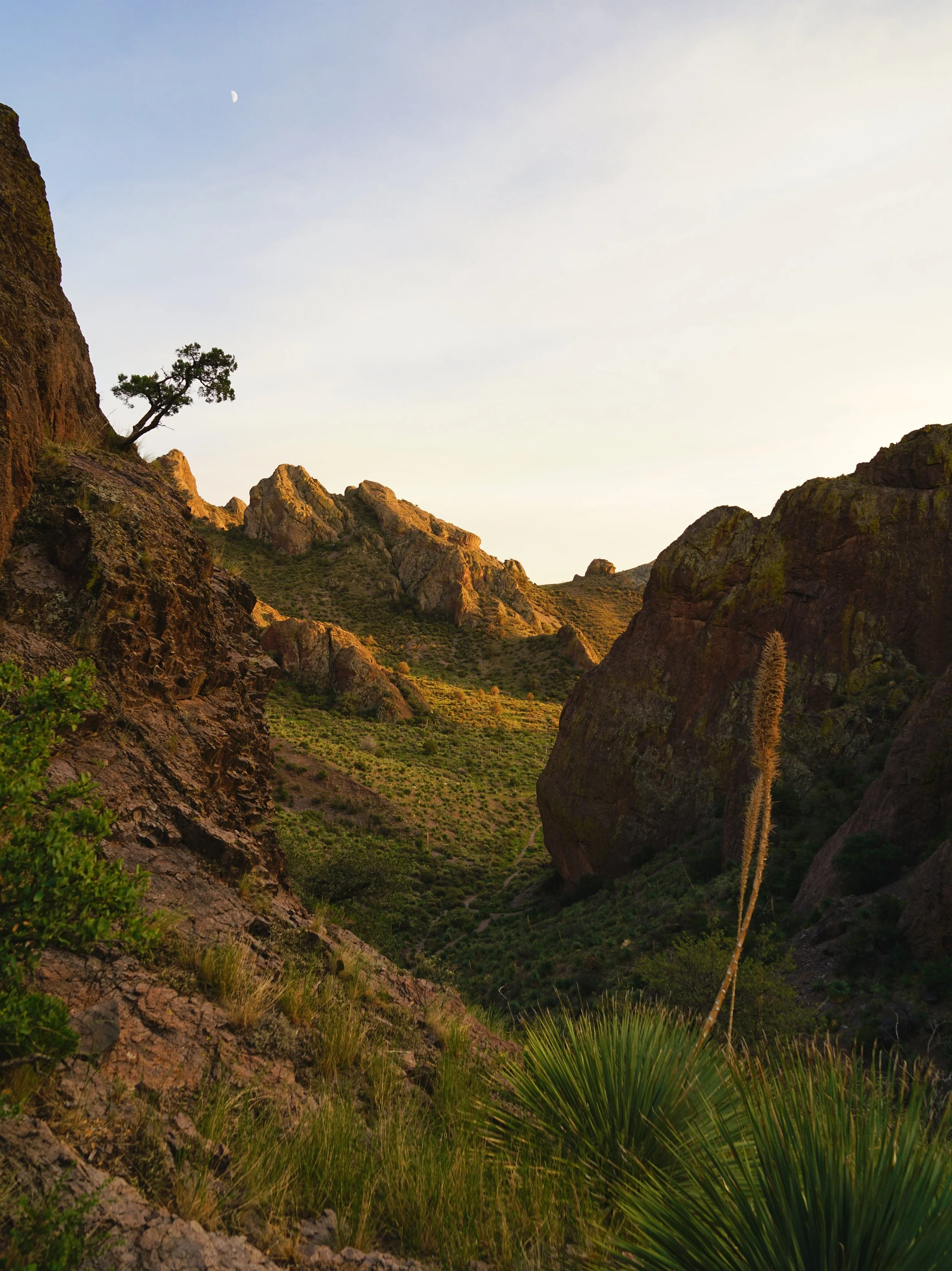 Land of Enchantment 017