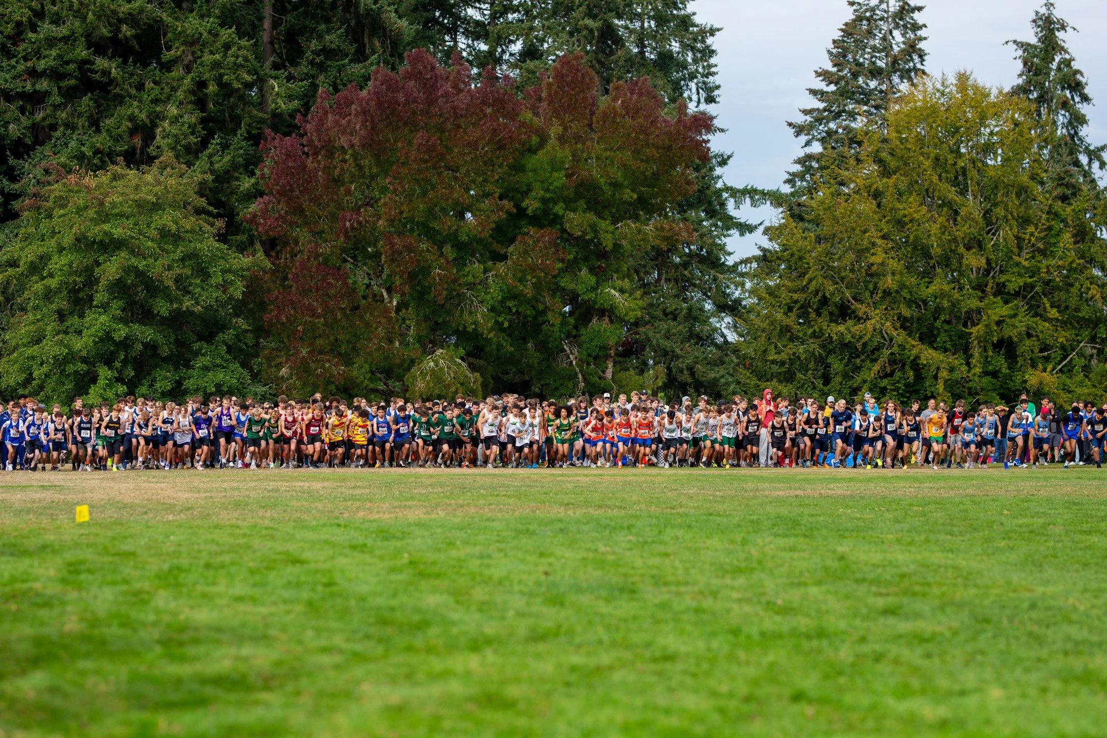 Large pack of freshman boys cross country runners lined up at the start line on a grass field.