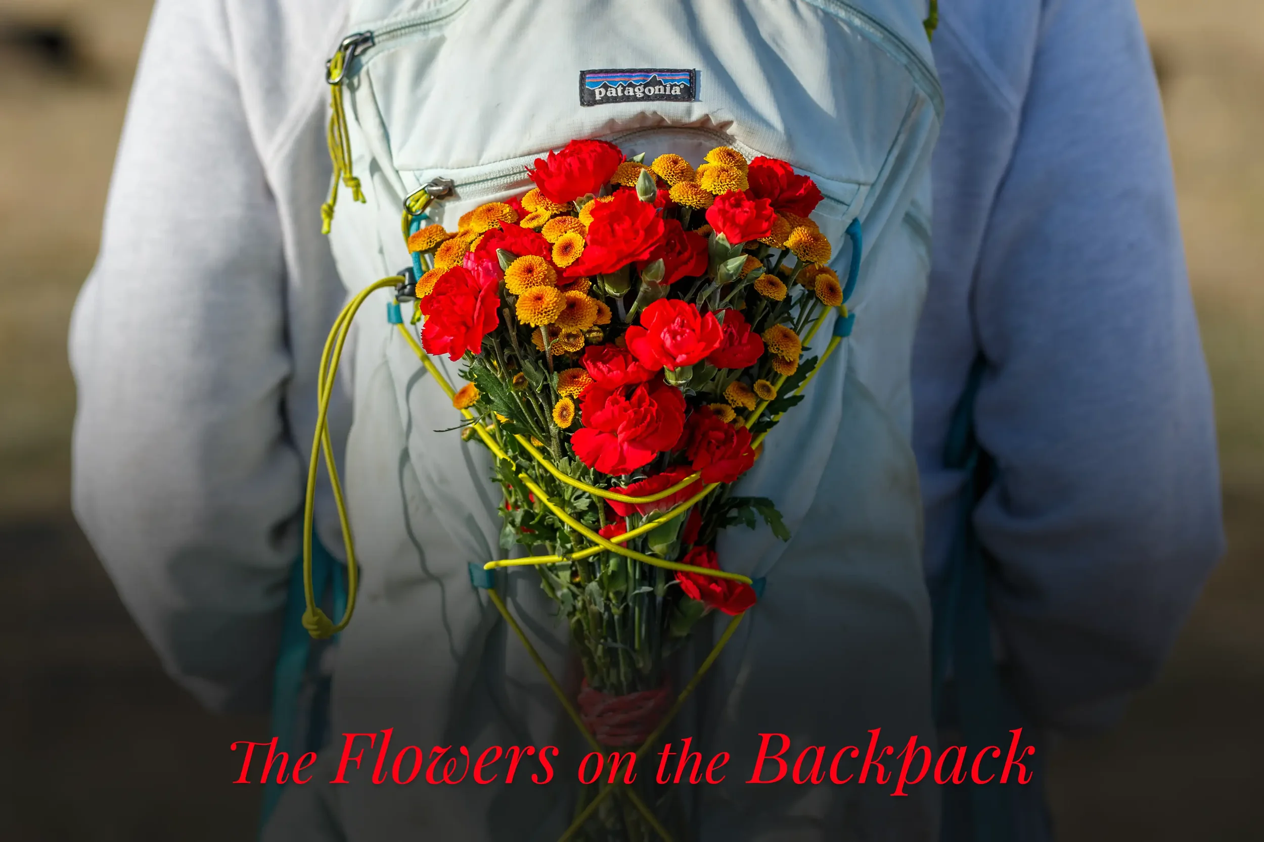 The Flowers on the Backpack (A Story from NXR)