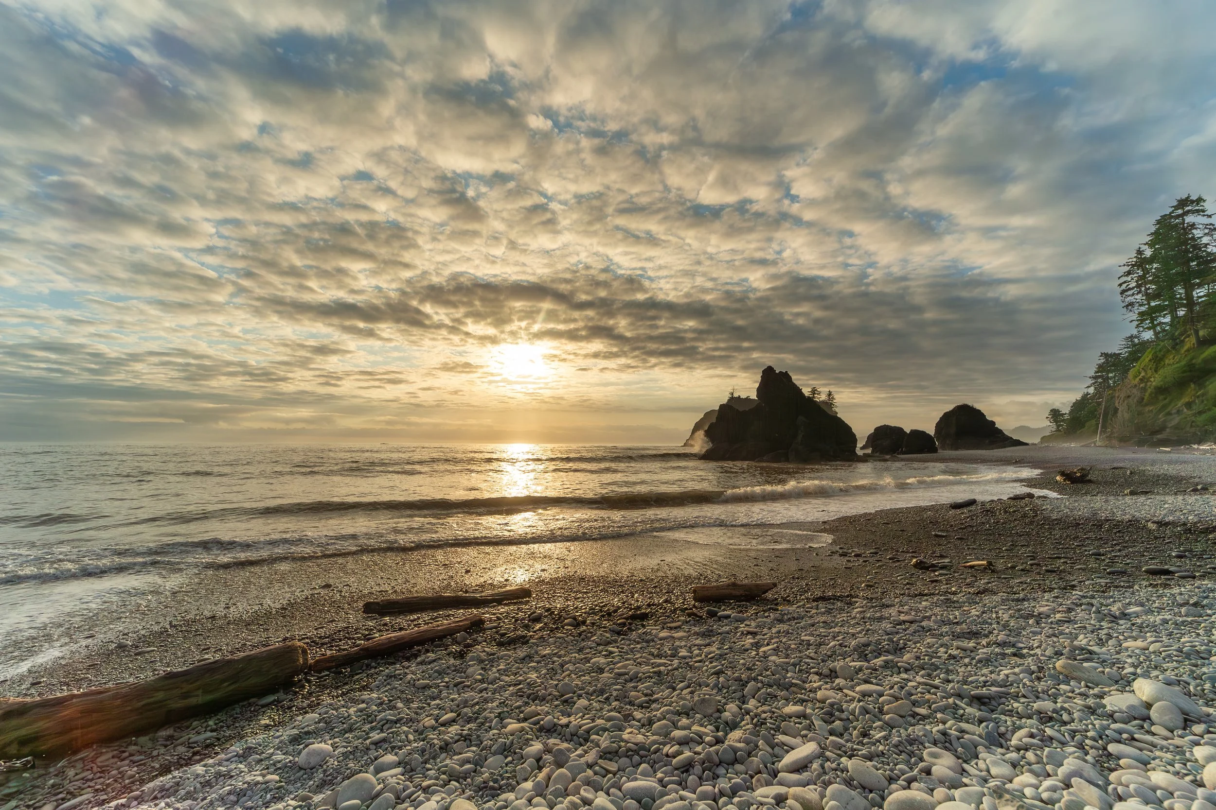 Protocol: Foundations // The Focus of Family