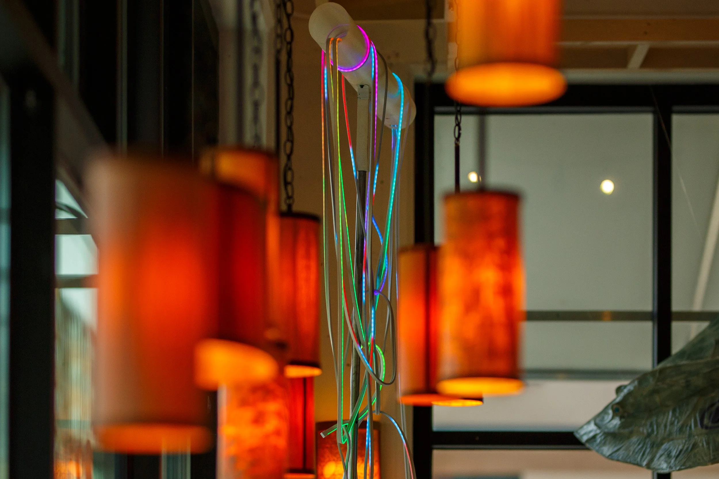 Illuminating History and Art in Olympia