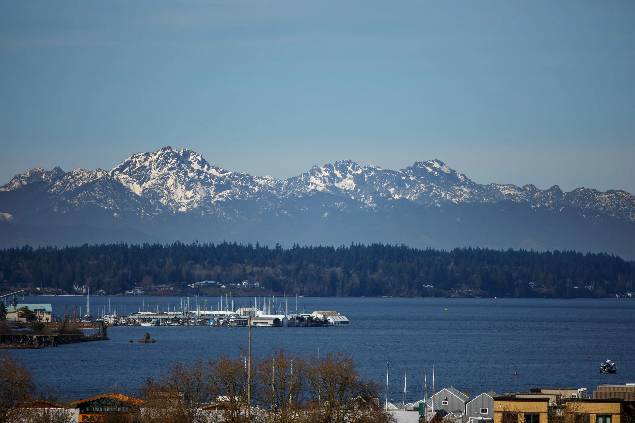 The Anatomy of a Pitch: Bidding for the Experience Olympia &amp; Beyond 2026 Photography Contract