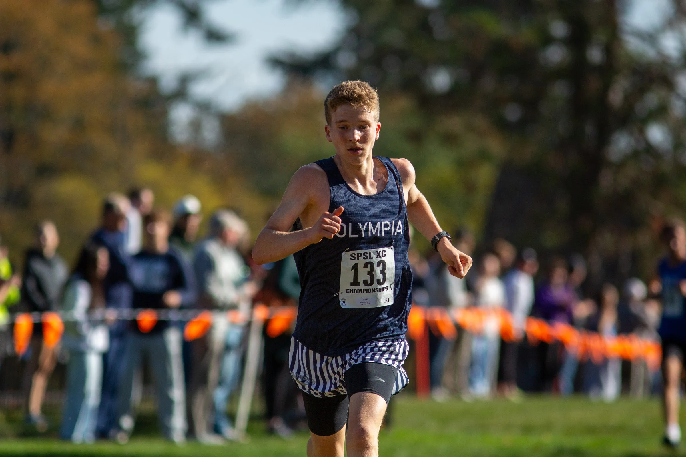 Quenton Lanese of Olympia, bib 133, runs on grass in a navy Olympia singlet and striped shorts, with spectators standing behind orange course flags.