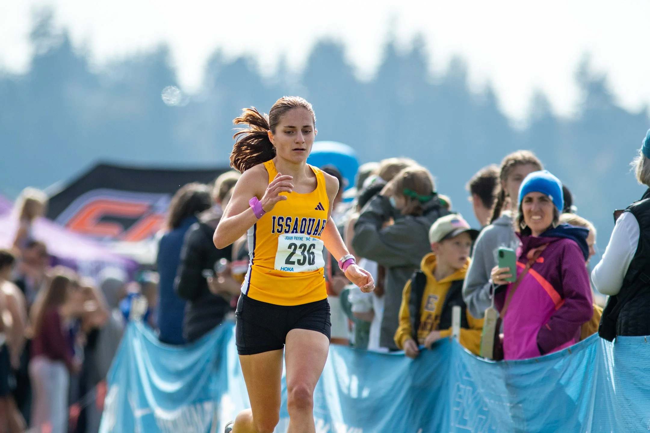 Issaquah High School senior Sally Davis running in a yellow and black uniform with bib 236 along a spectator-lined cross country course.