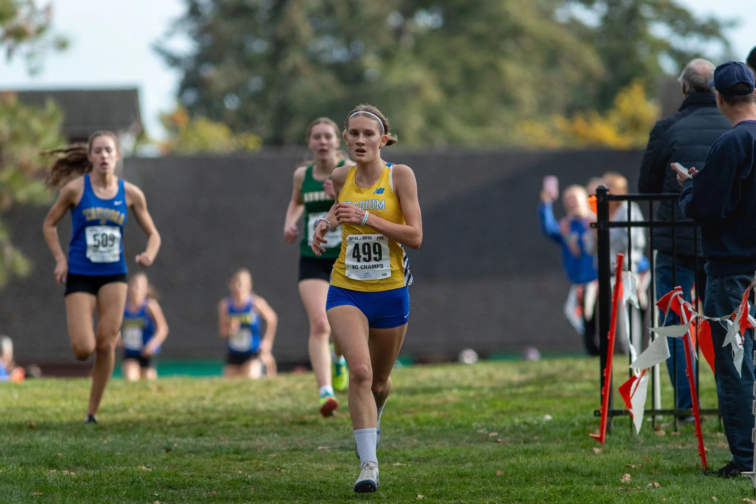 Catherine Harju of Stadium, in a yellow singlet, runs on grass ahead of runners in blue uniforms, with an official and course tape behind.