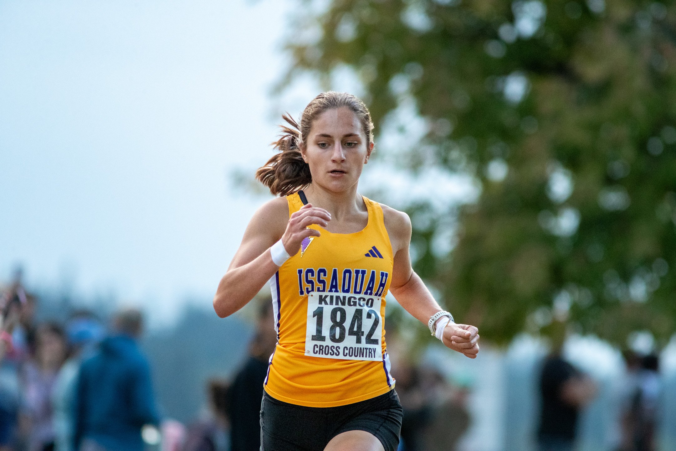 High school girl in a yellow Issaquah singlet, bib 1842, running the course.