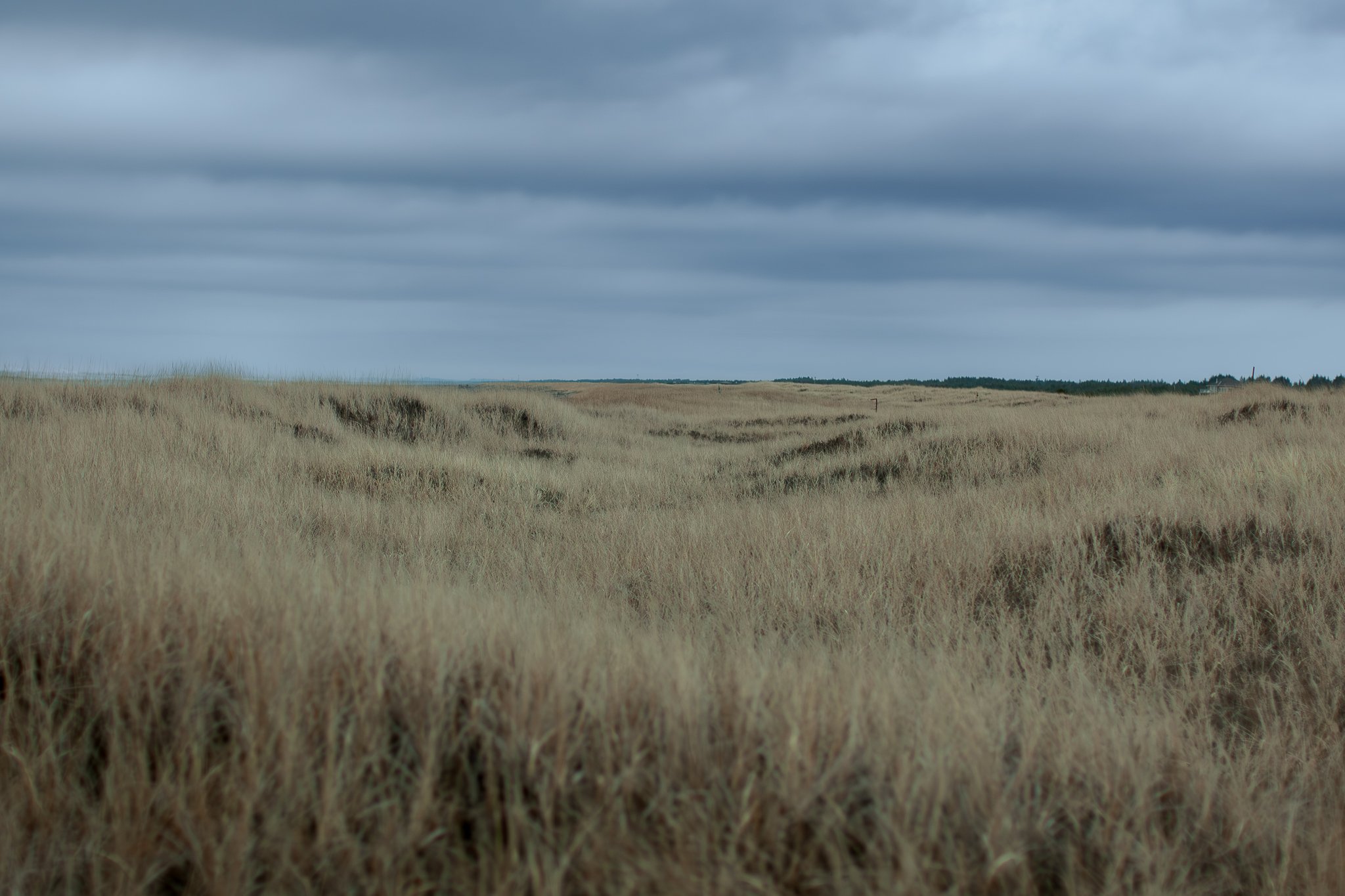 3S9D6193-Enhanced-NR.jpg