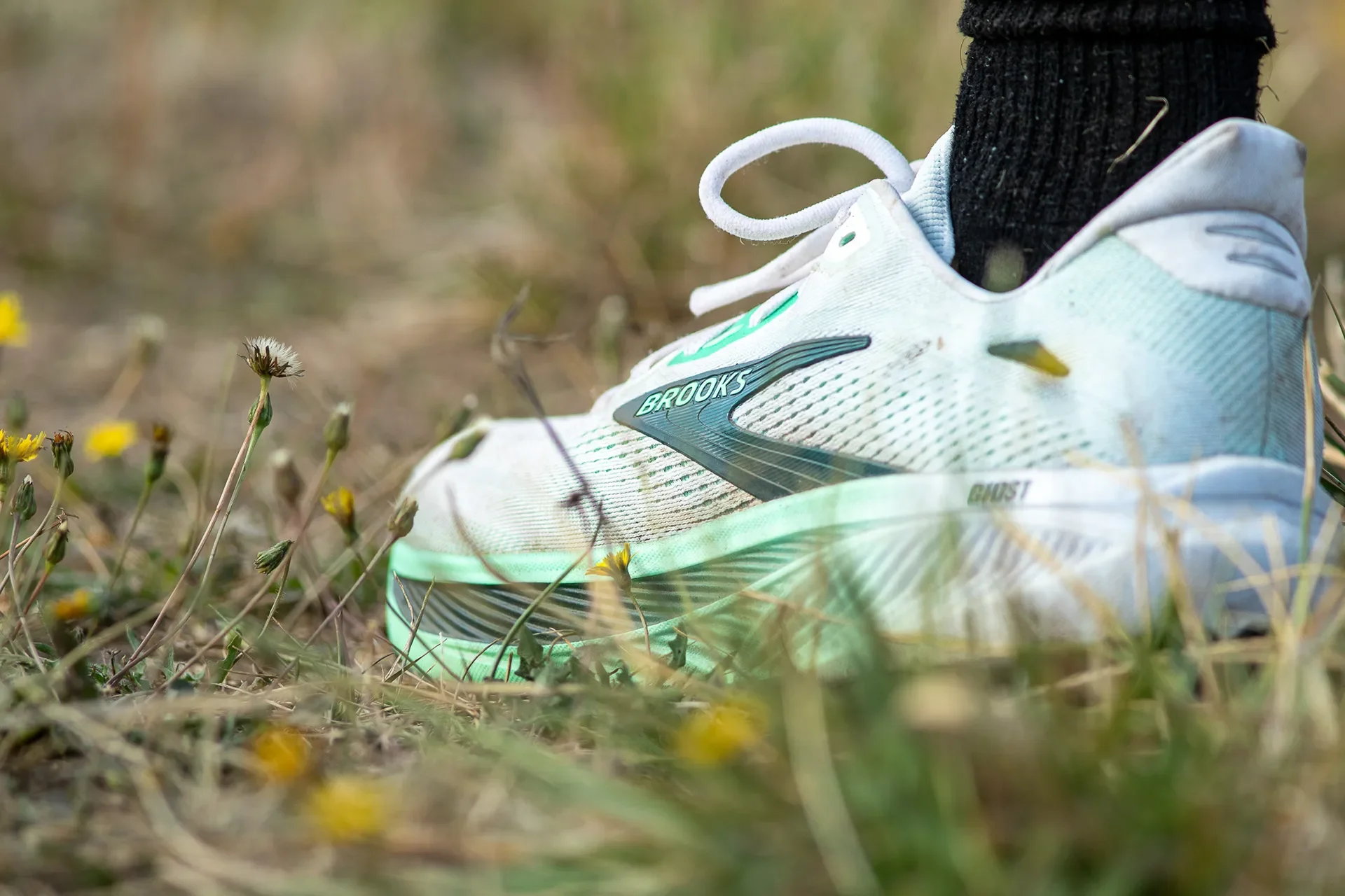 Close up, ground-level photo of a clean white and mint green Brooks Ghost running shoe standing in grass and small yellow flowers.