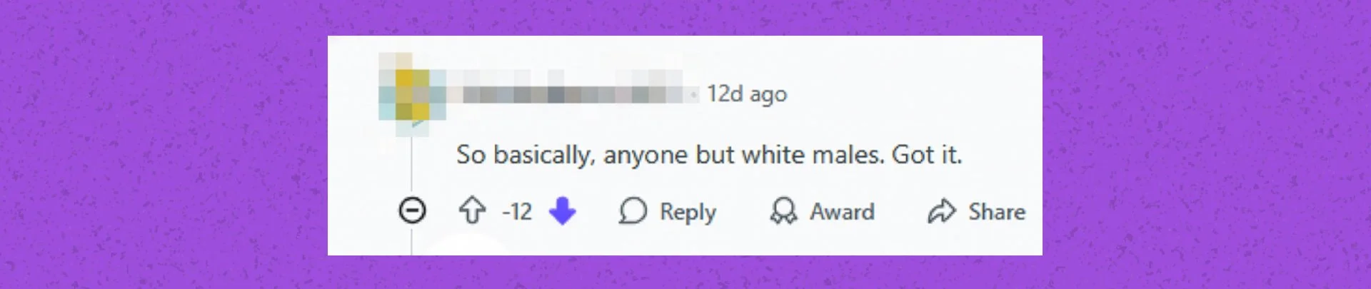 A screenshot of a Reddit comment against a purple background that reads, "So basically, anyone but white males. Got it." The comment shows negative 12 downvotes.