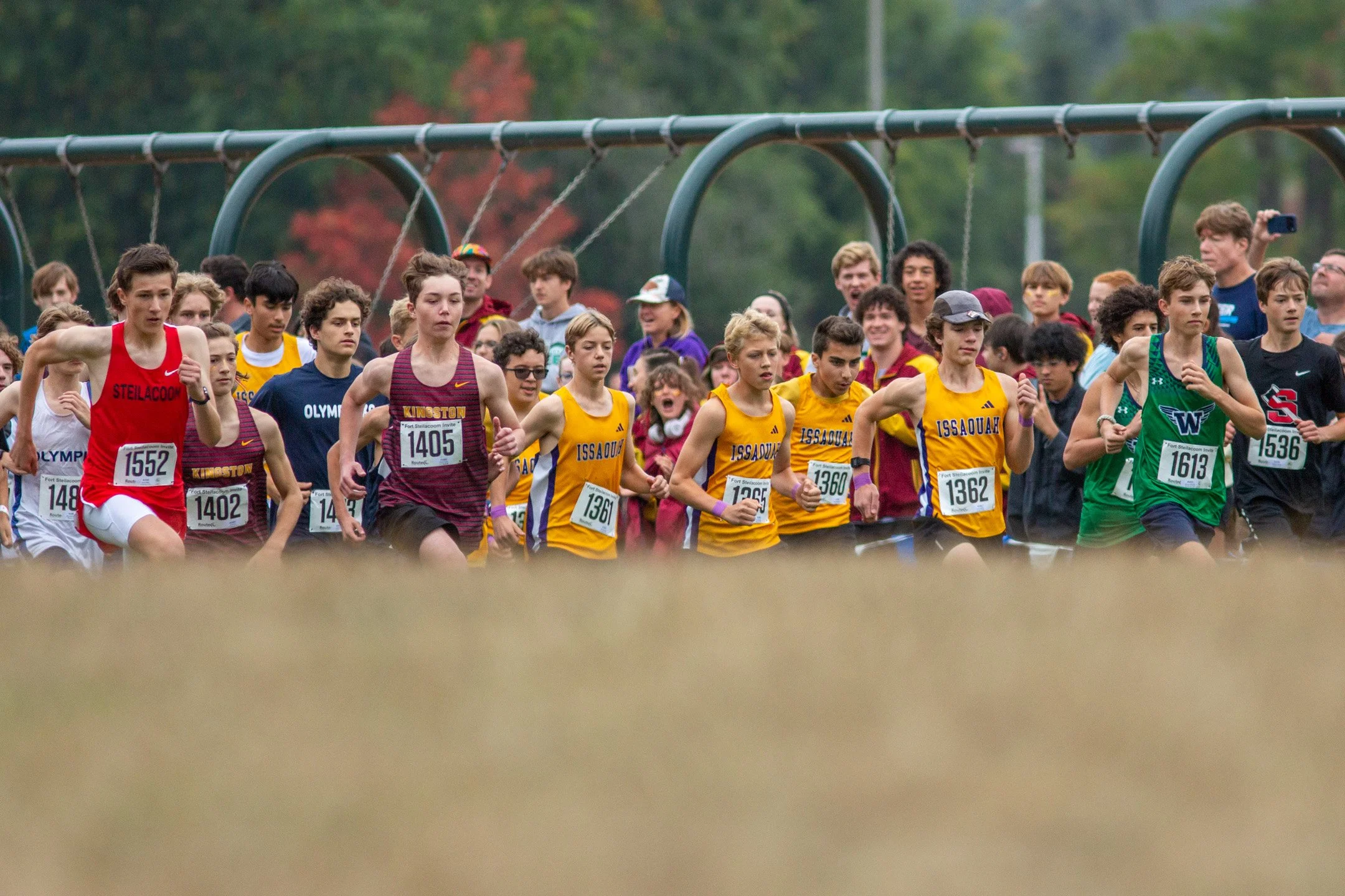 A dense pack of freshman boys cross country runners, including athletes from Tahoma, Woodinville, and Olympia high schools, running together on a grass course at Fort Steilacoom Park.