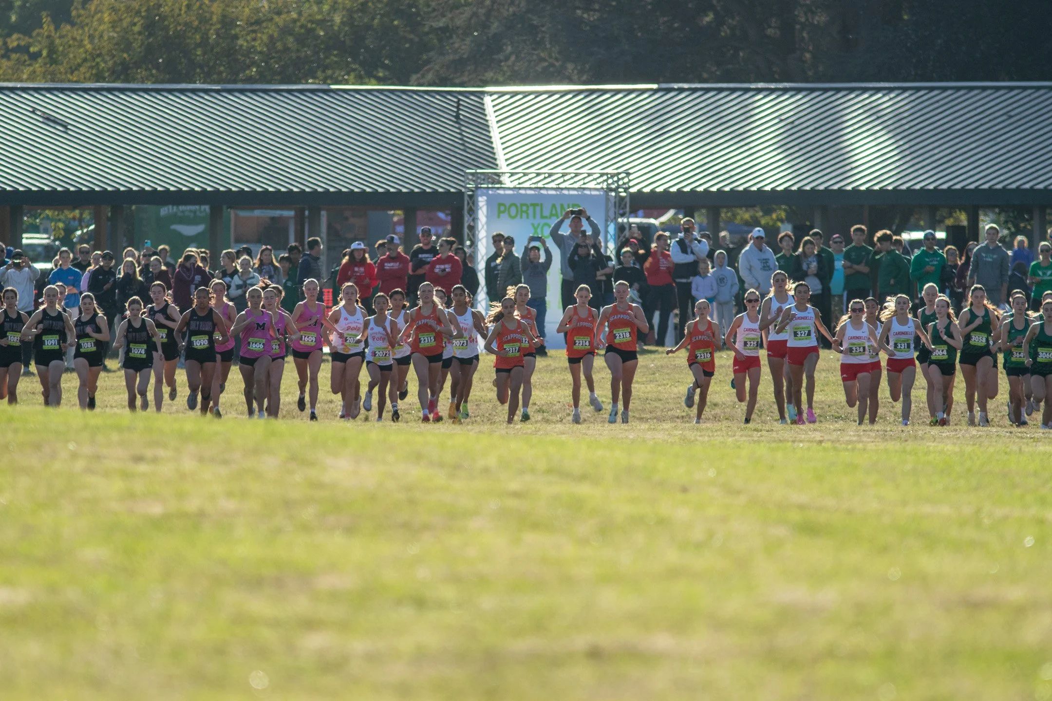 High school girls in team singlets line up across a grass starting line, with a covered pavilion and crowd behind them.
