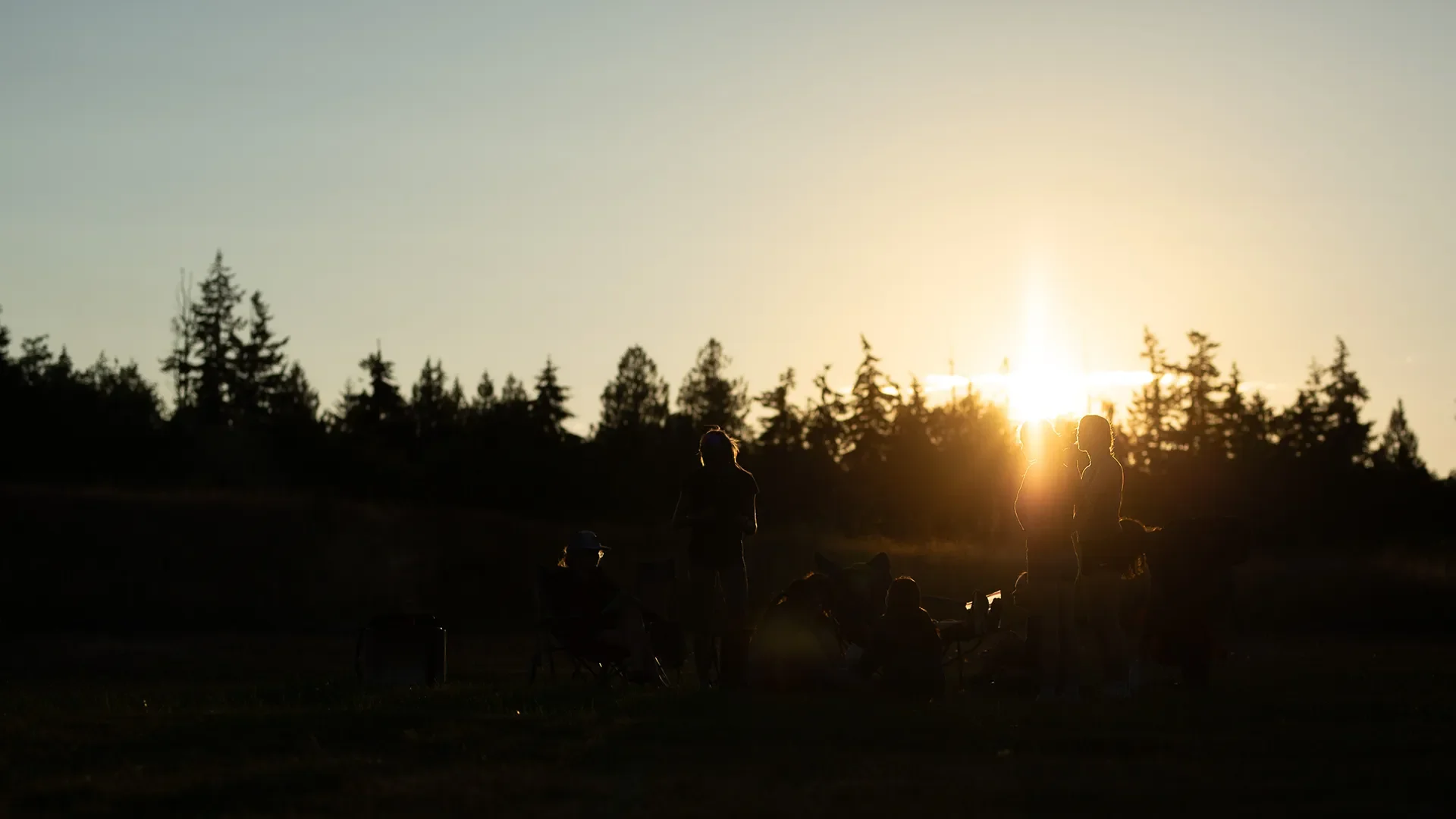 Silhouettes of athletes relaxing at camp against a bright golden sunset shining through tall evergreen trees.