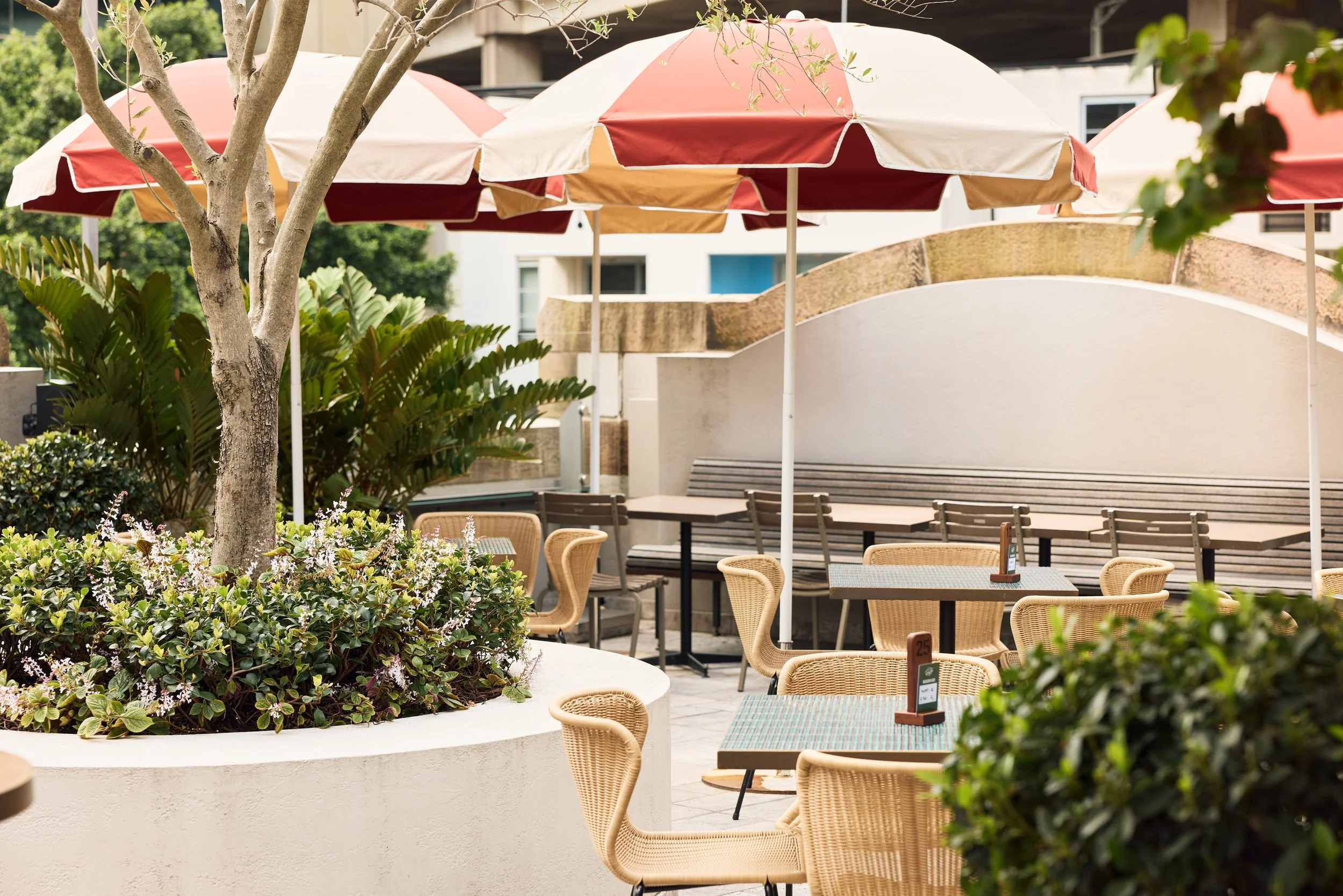 Rooftop bar with umbrella chairs and greenery