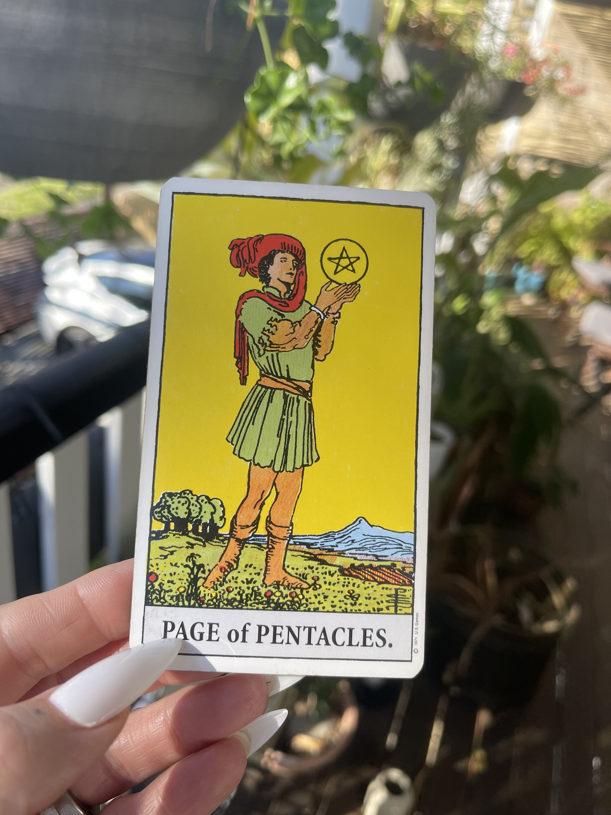 Page of Pentacles - Delight in Diligence