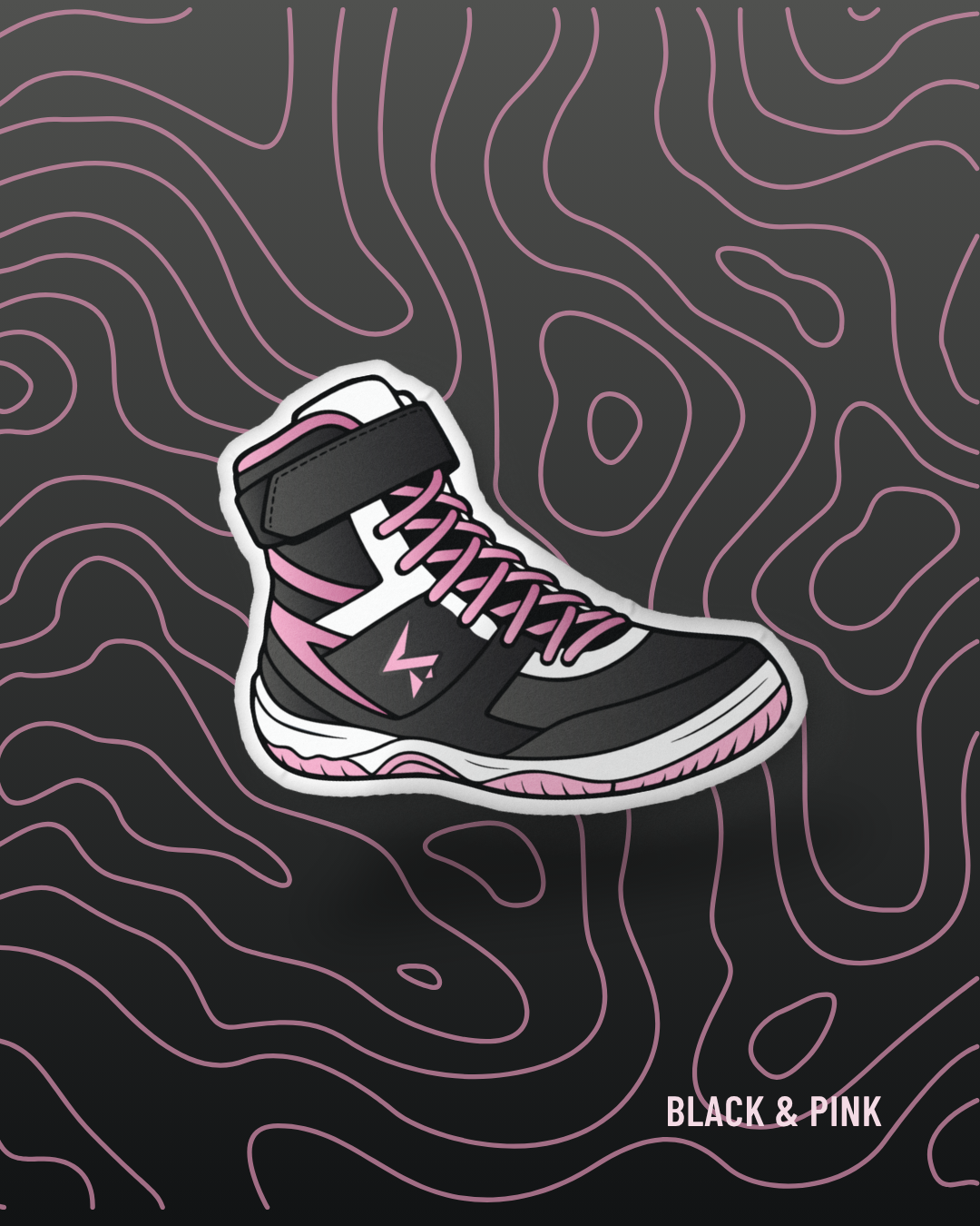 Shoe Pillow (Black/Pink)