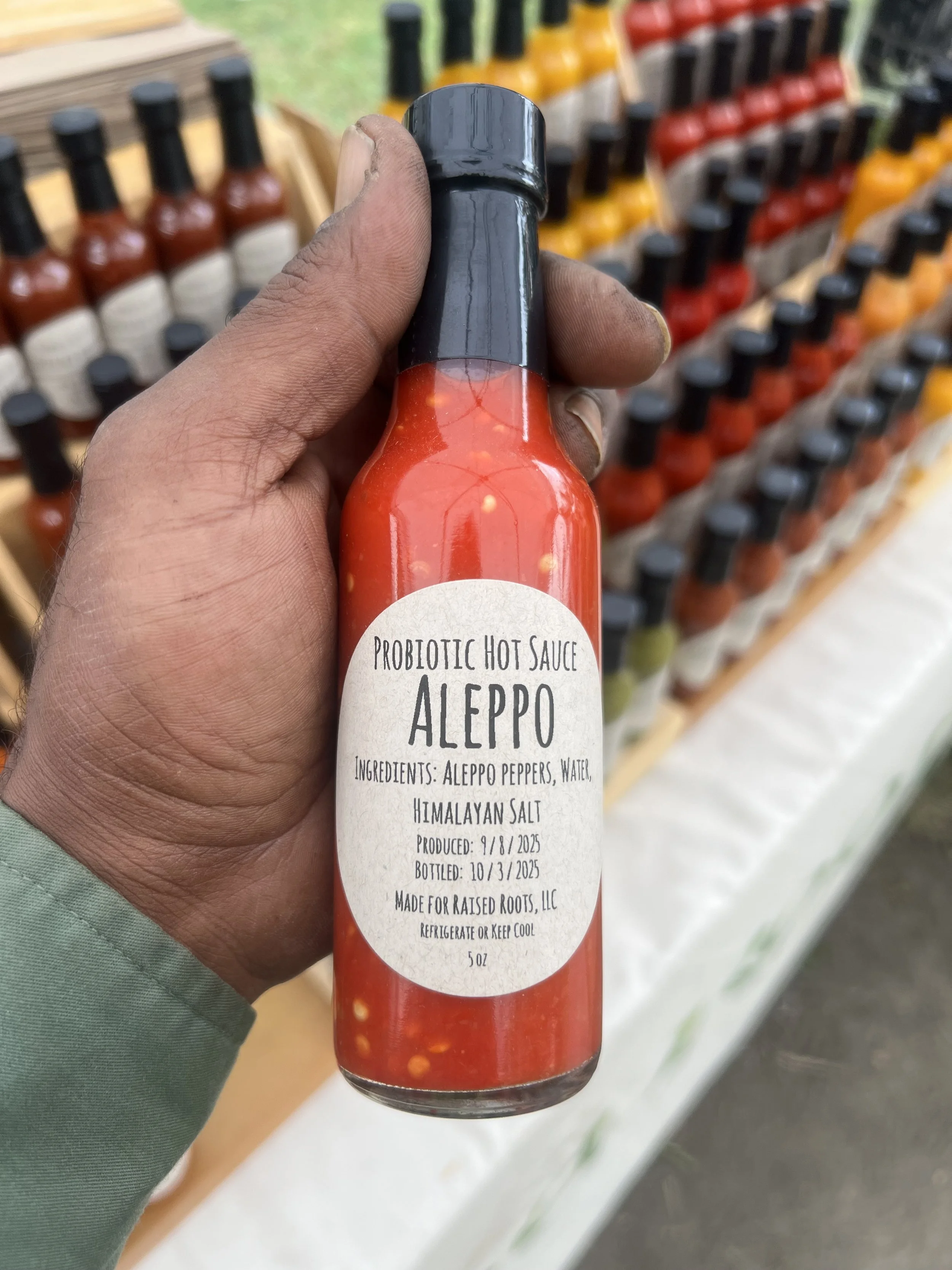 Aleppo Probiotic Hot Sauce