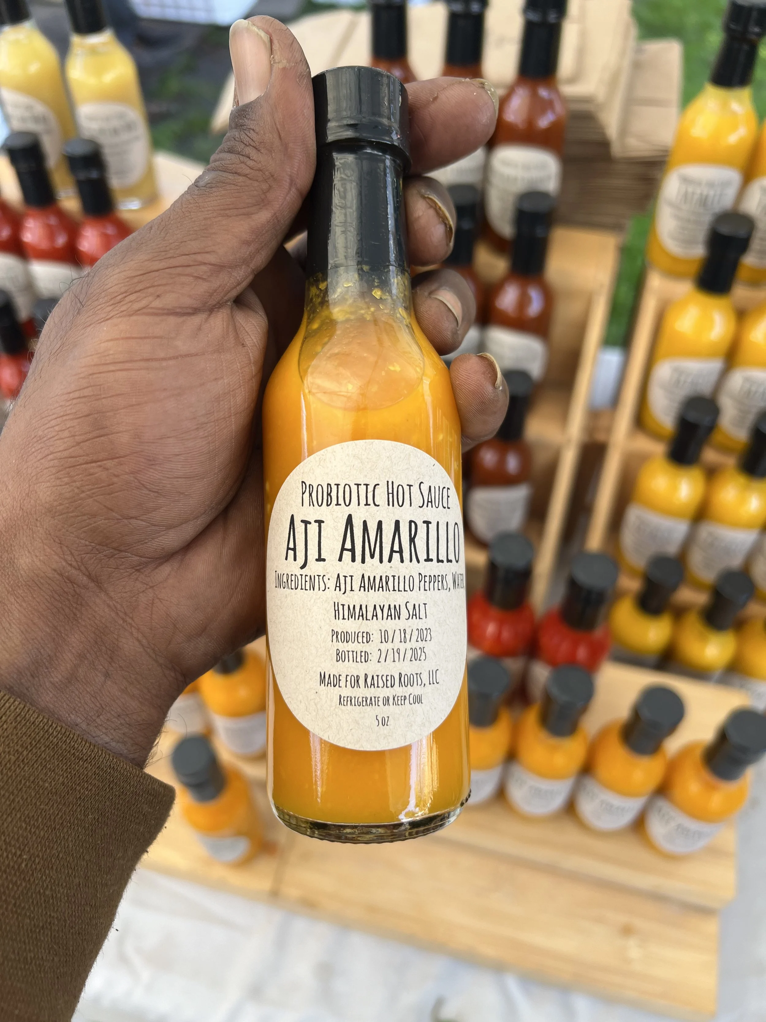 Red Jalapeño Probiotic Hot Sauce