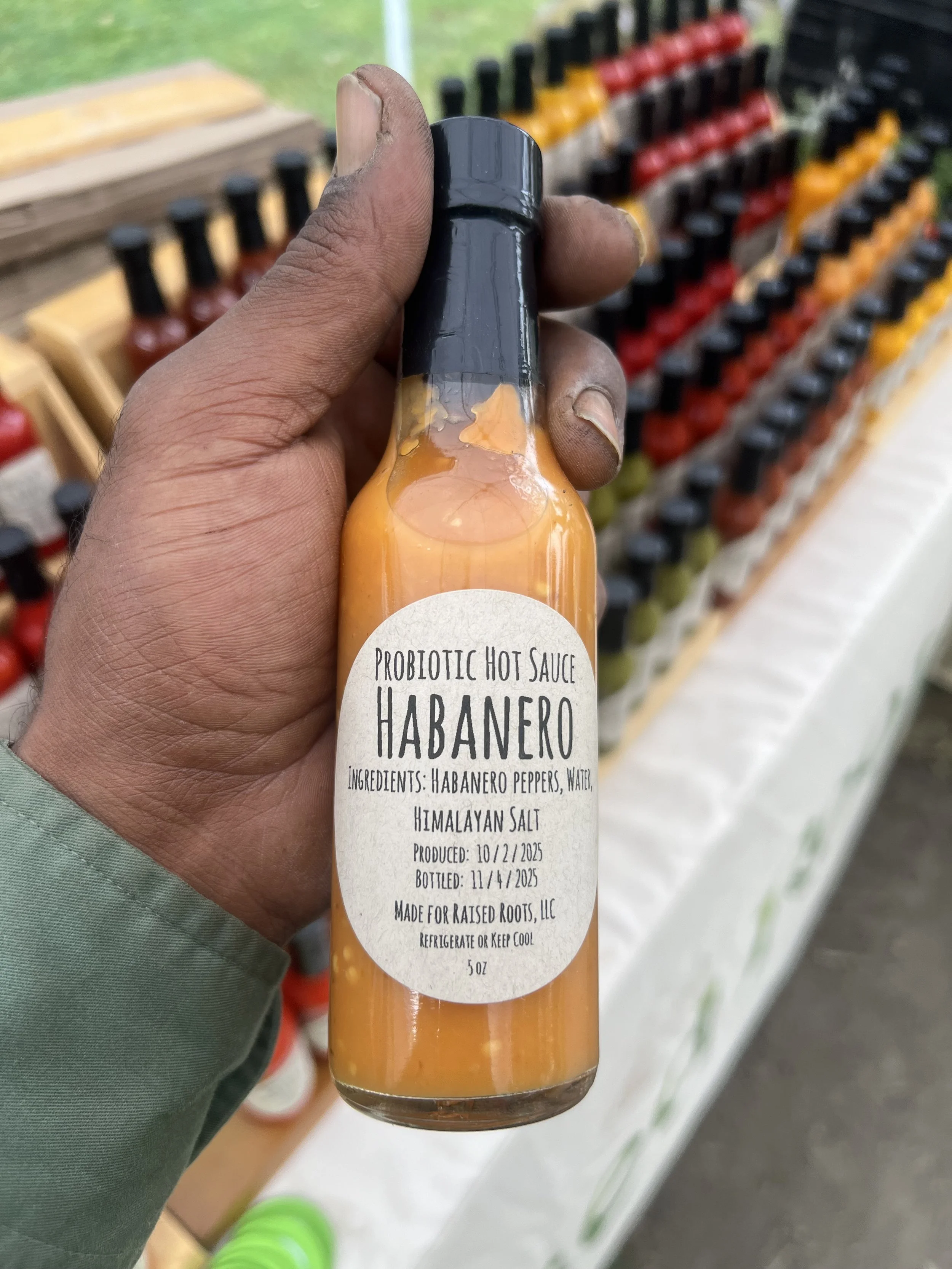 Habanero Probiotic Hot Sauce