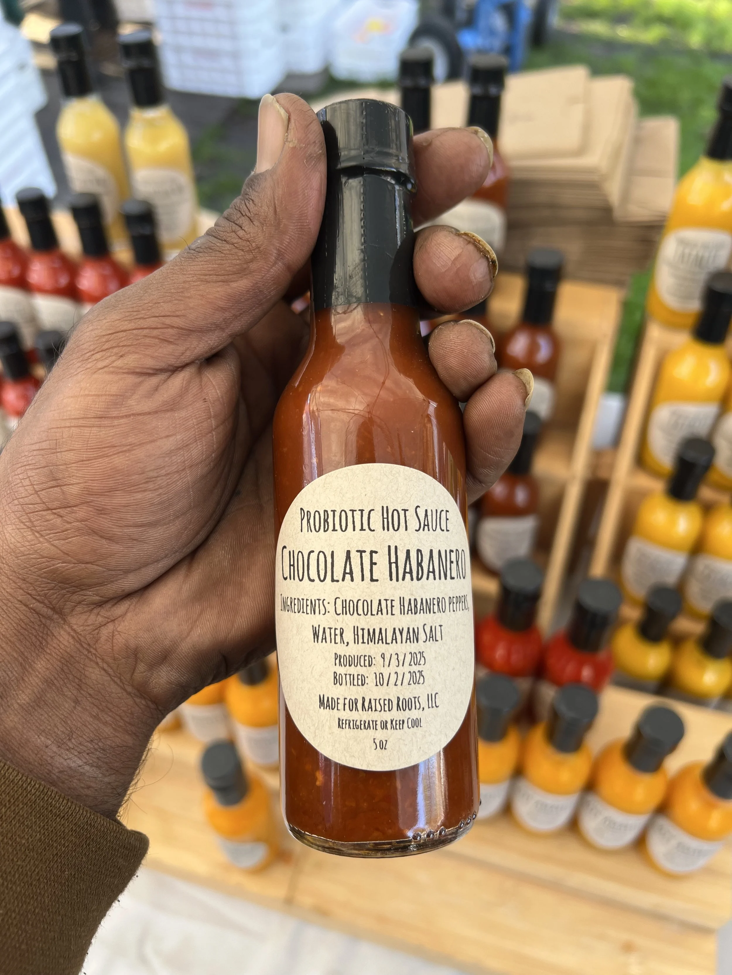 Chocolate Habanero Probiotic Hot Sauce