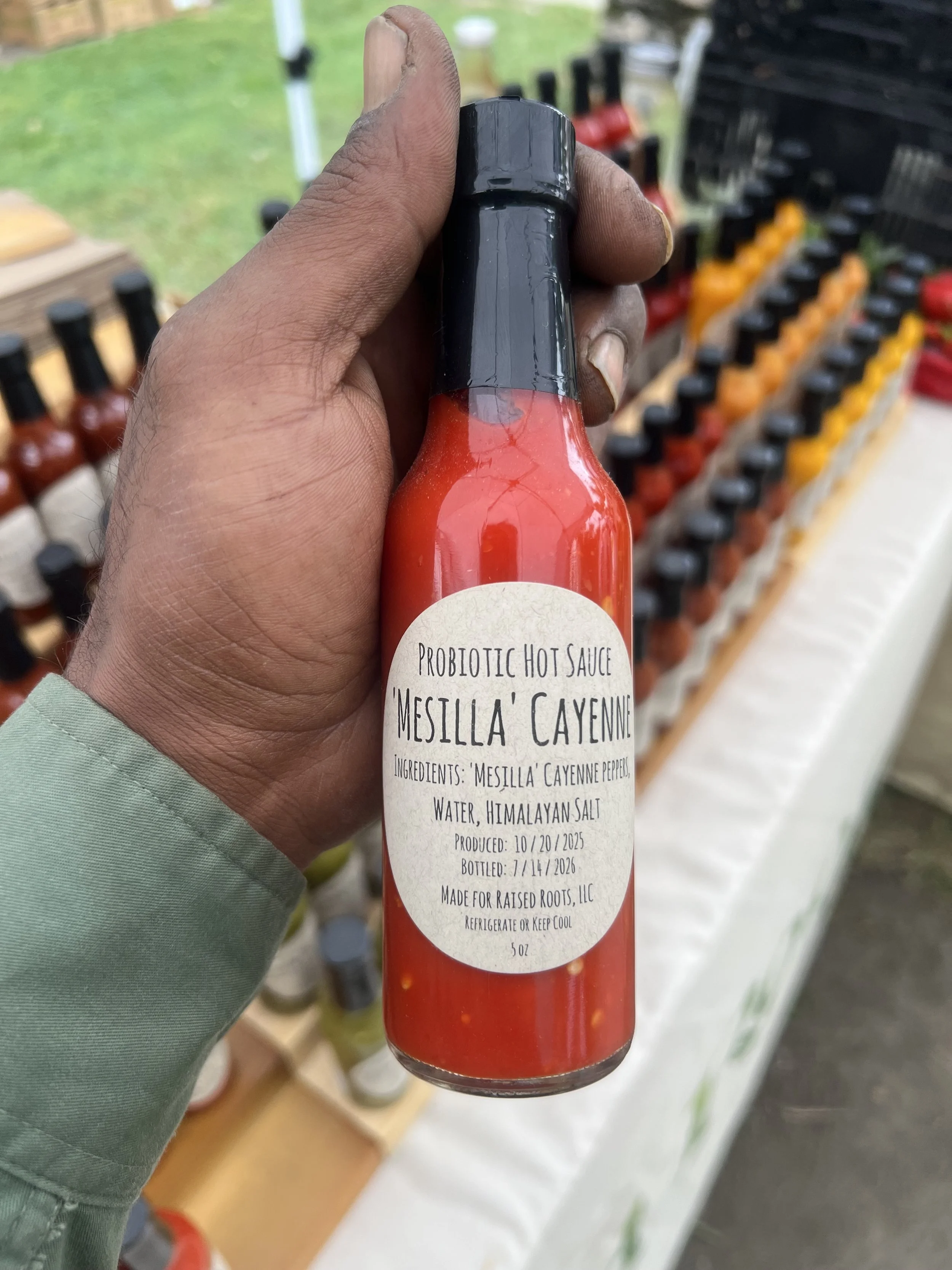 ‘Mesilla’ Cayenne Probiotic Hot Sauce