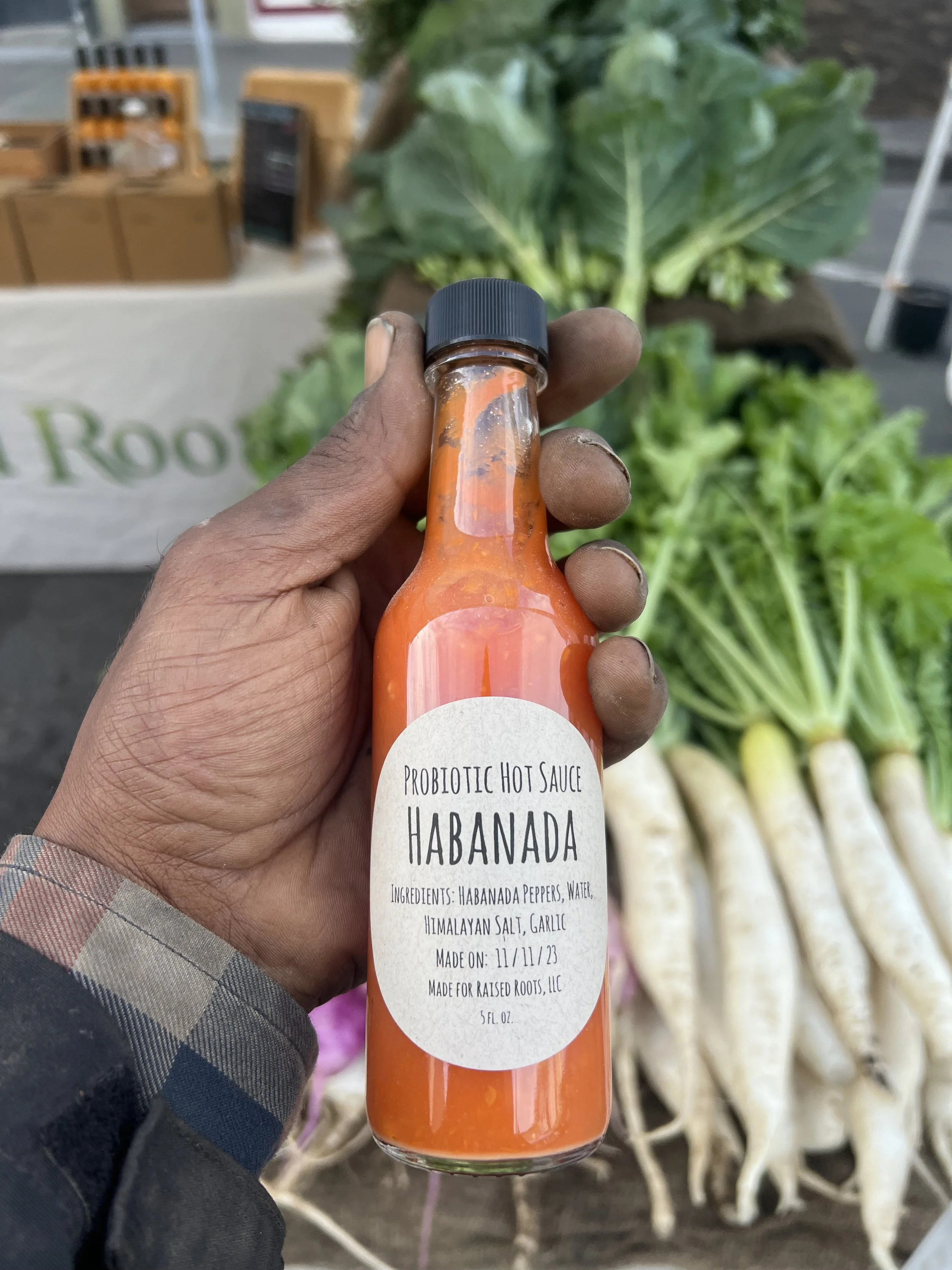 Habanada Probiotic Hot Sauce