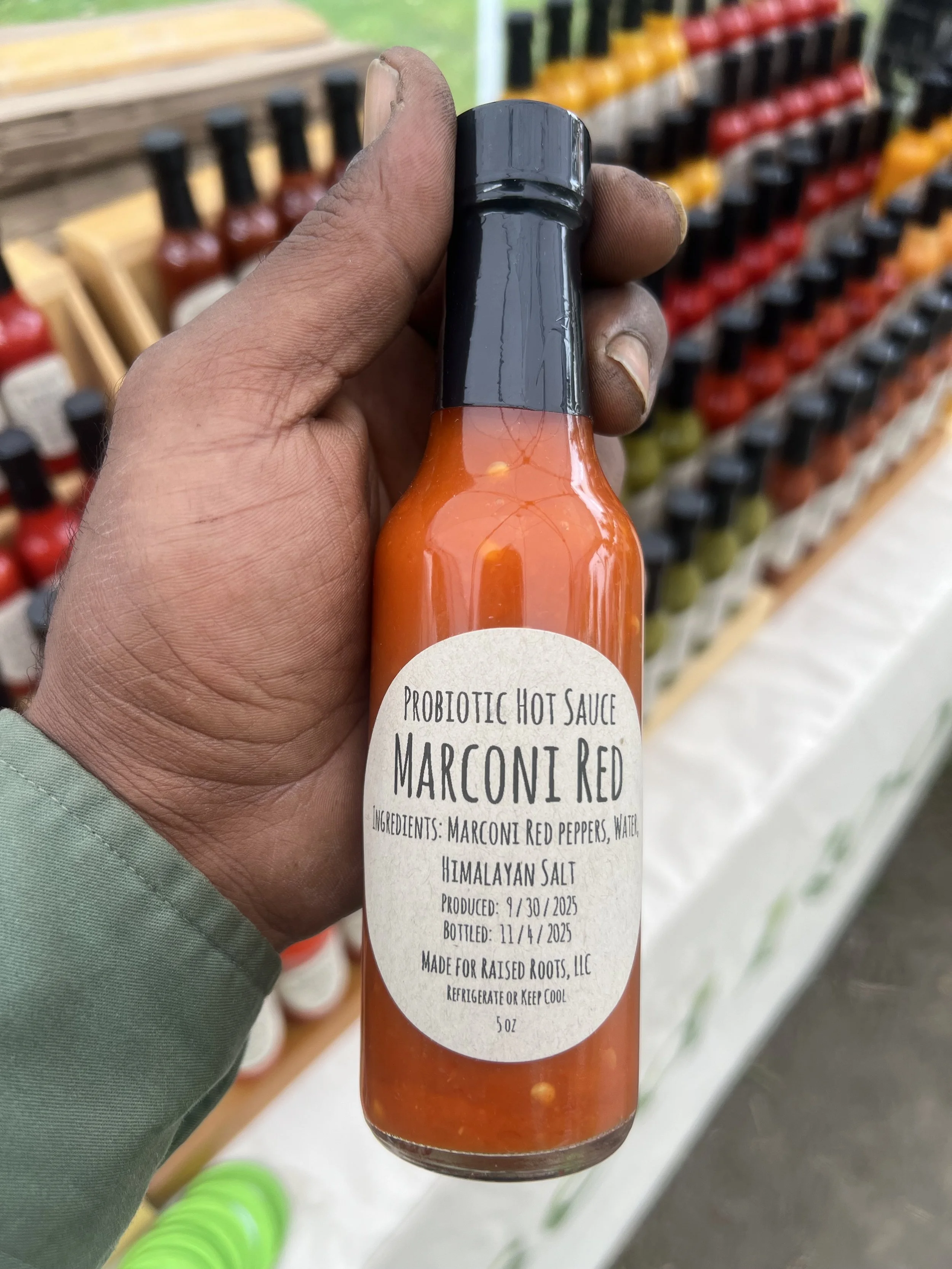 Marconi Red Probiotic Hot Sauce
