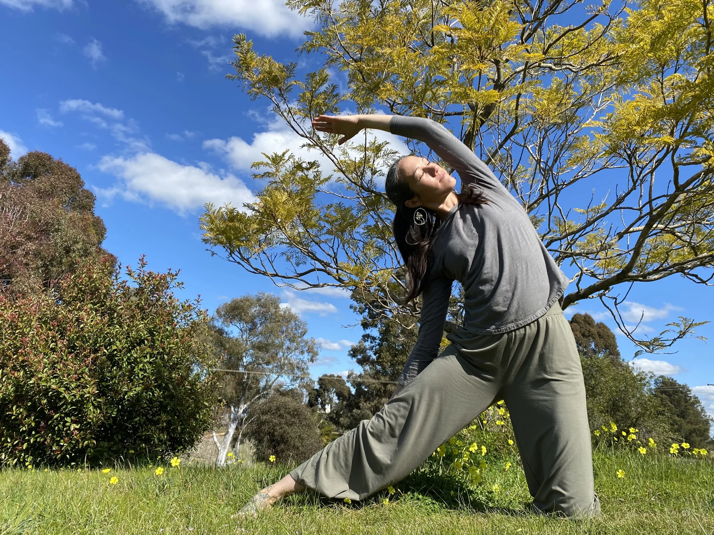 Gate pose in nature.jpg