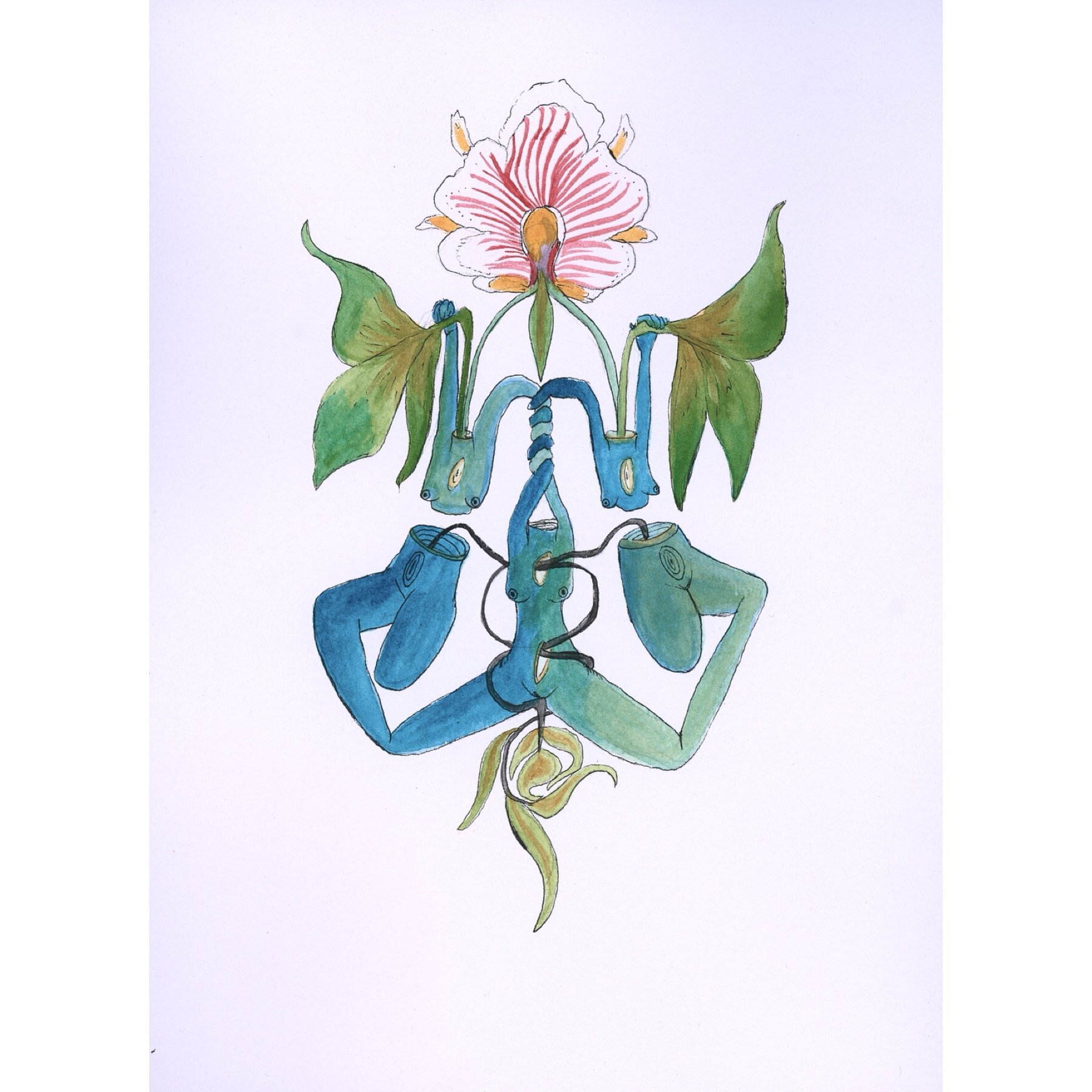Orchid (print)