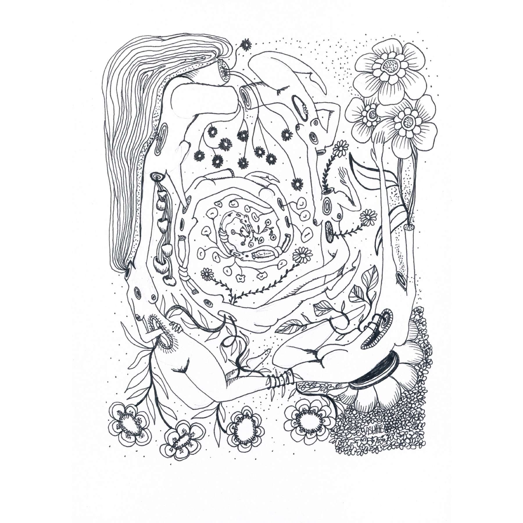 IMG_6217.png