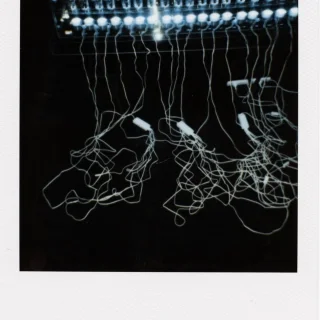 incubator-polariod.jpg.webp