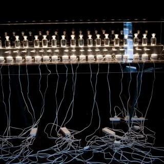 incubator-frontal.jpg.webp