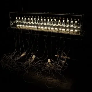 incubator-2.jpg.webp