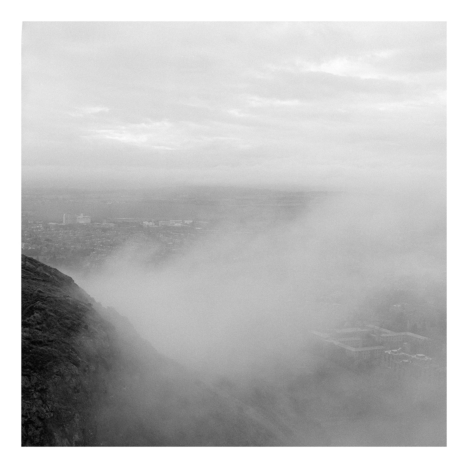 Lesley_Turnbull_FOG.jpg