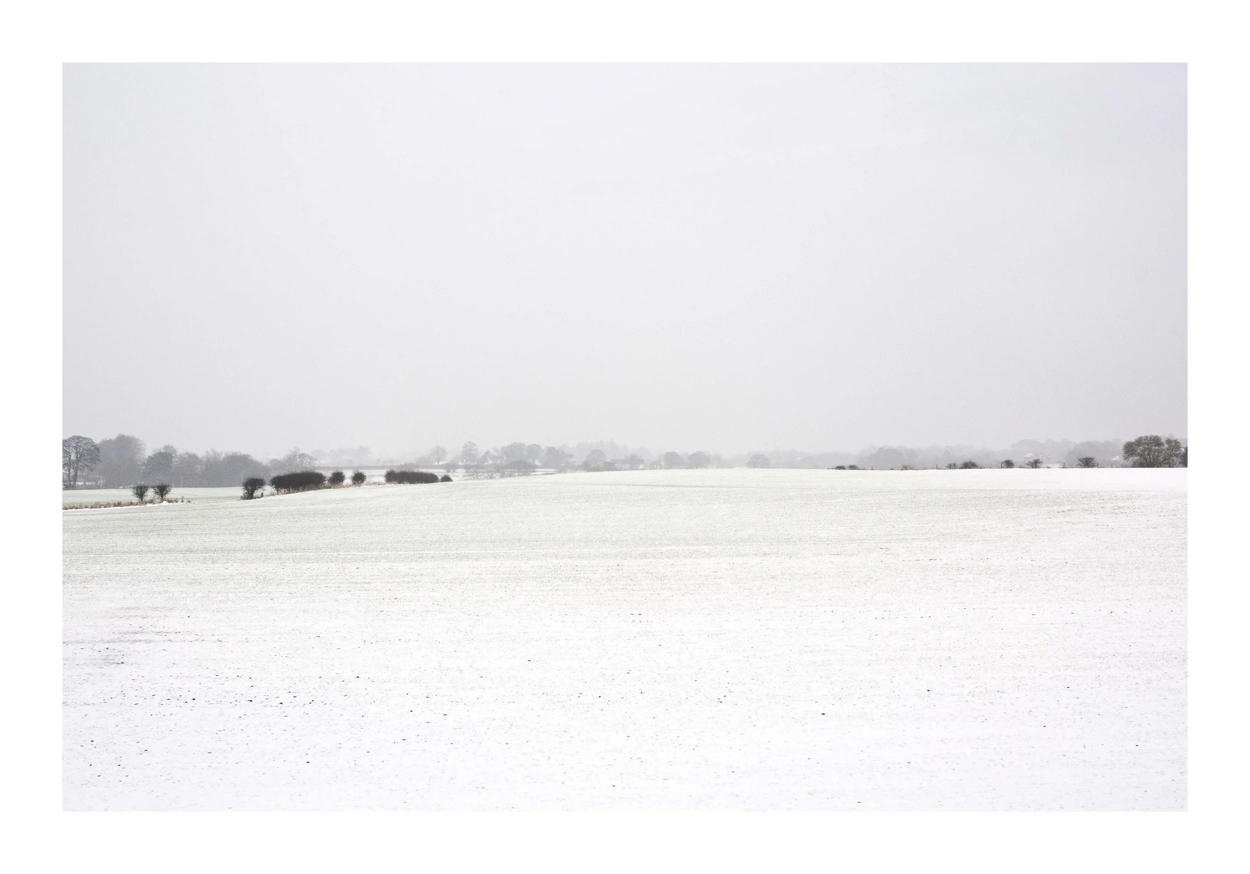 Website_Snow.jpg