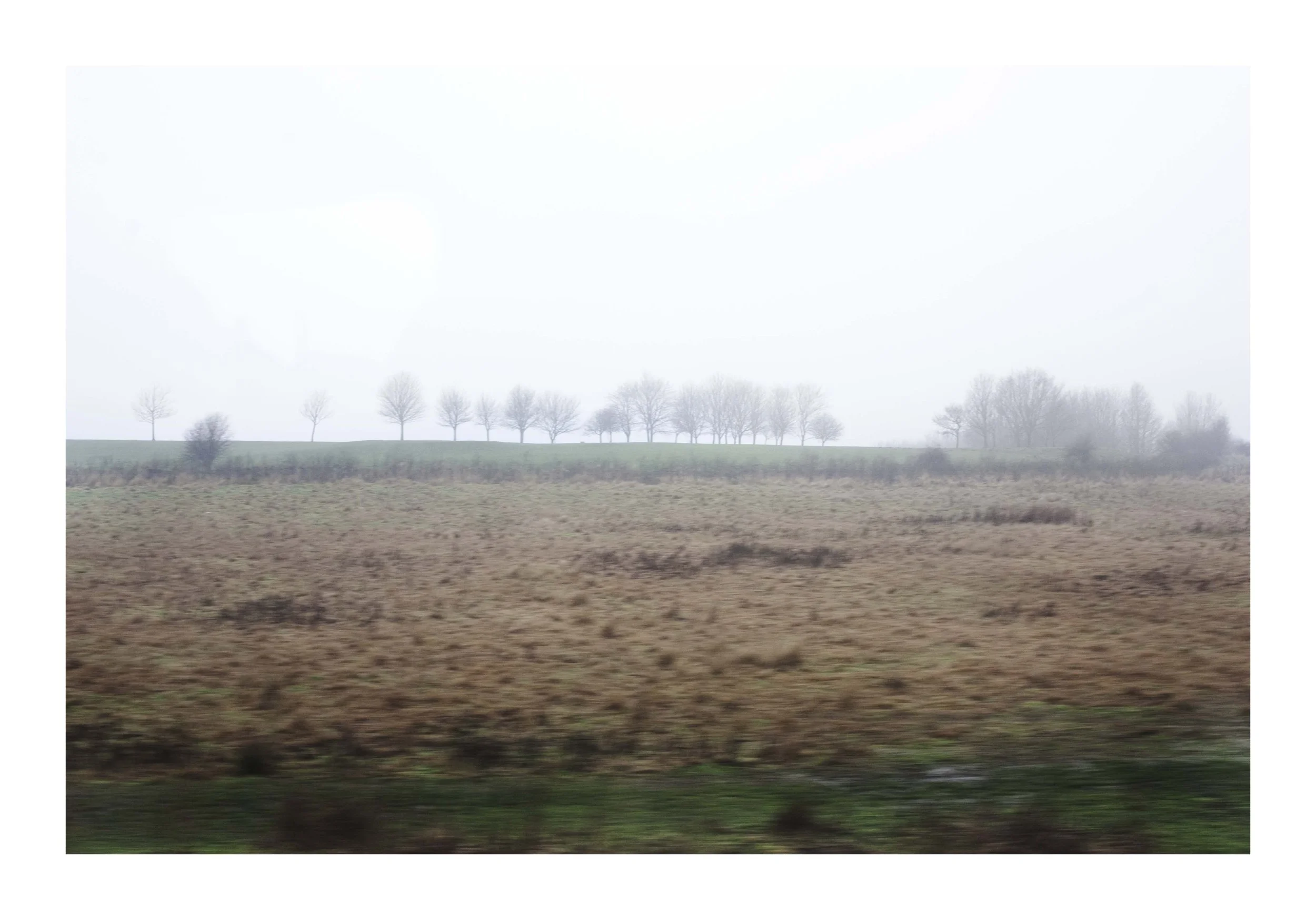 WEB_BLUR.jpg