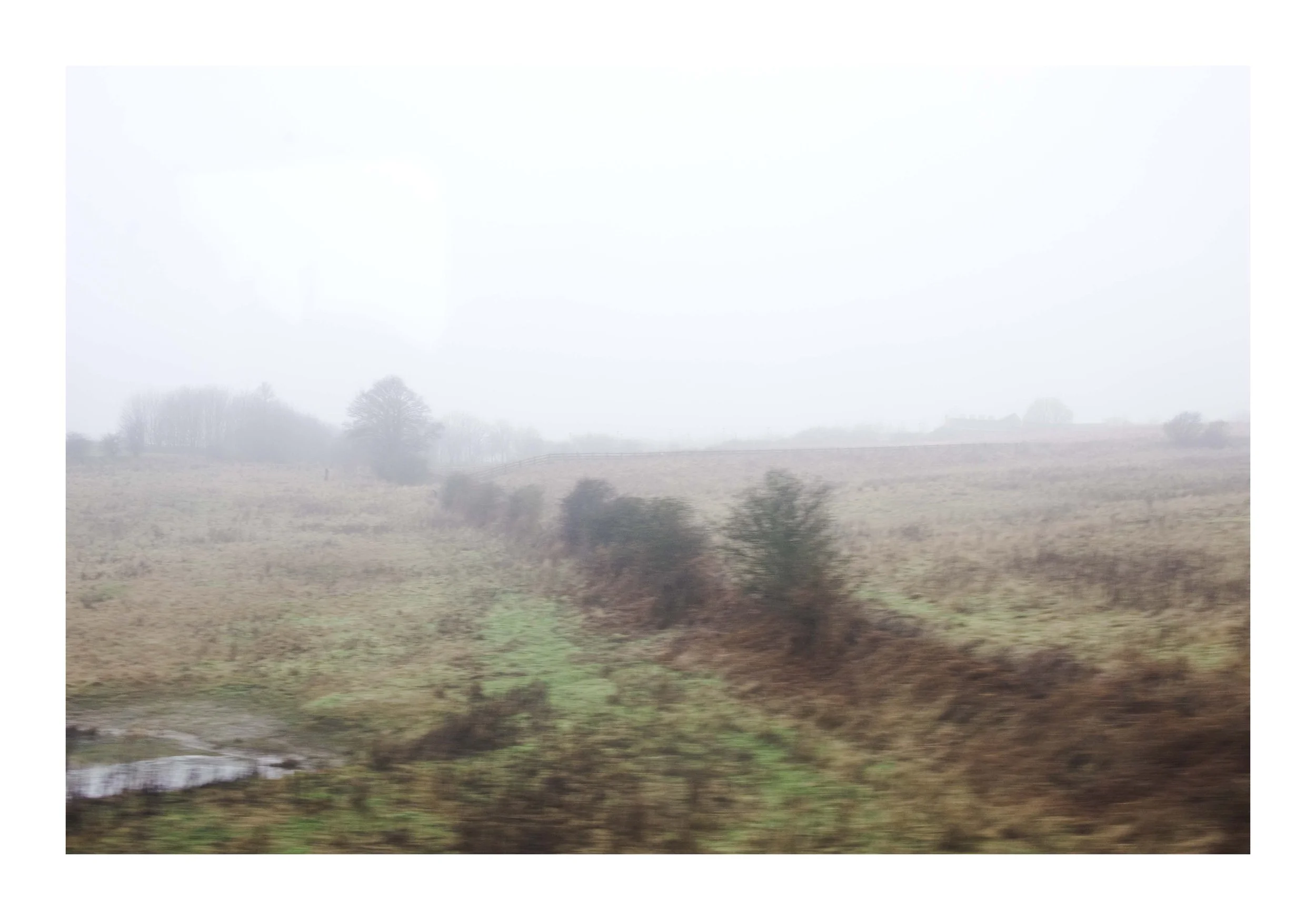 WEBSITE_Muddy Feild.jpg