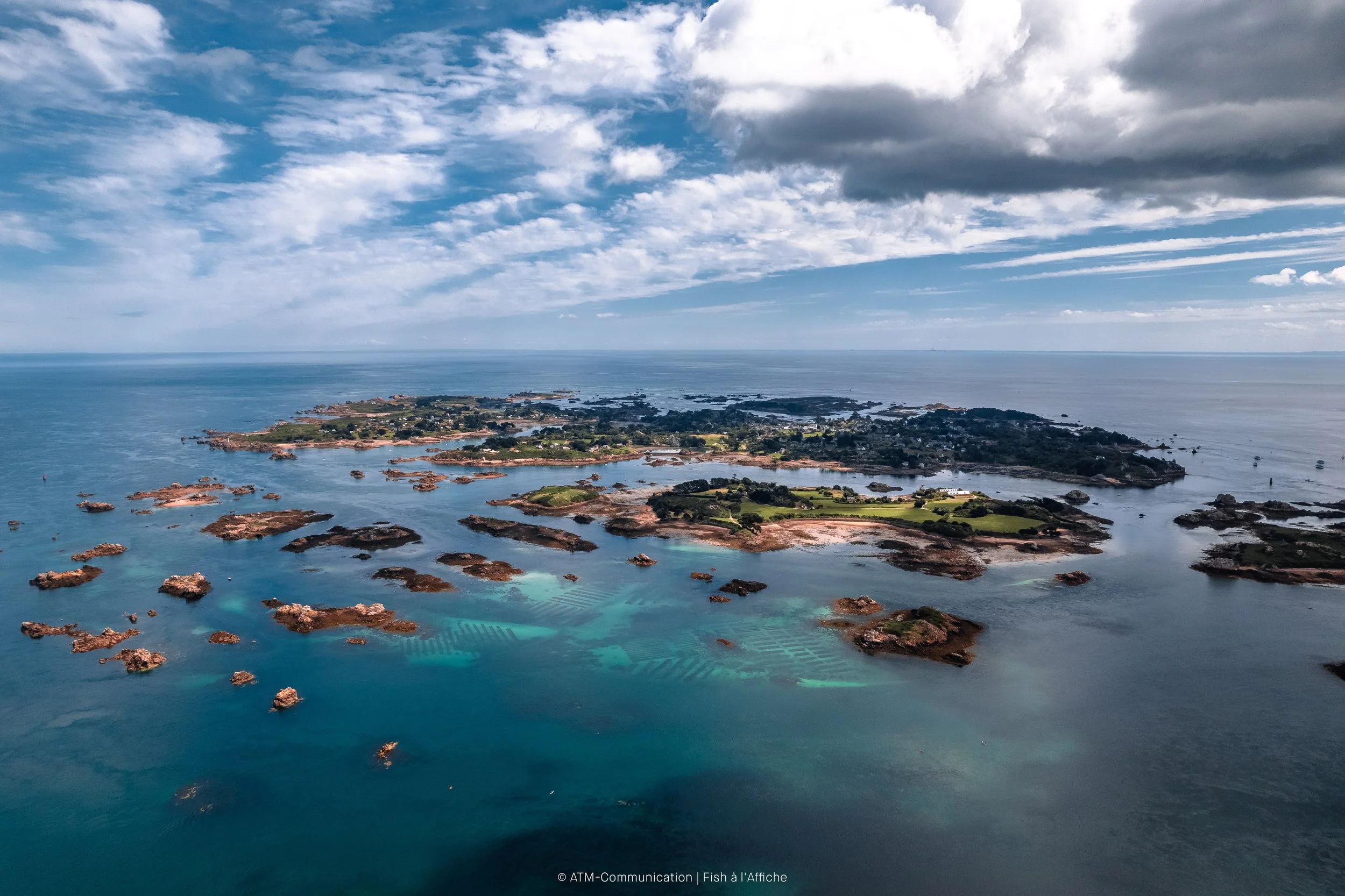 FISH À L'AFFICHE DRONE 1  (3 sur 19).jpg