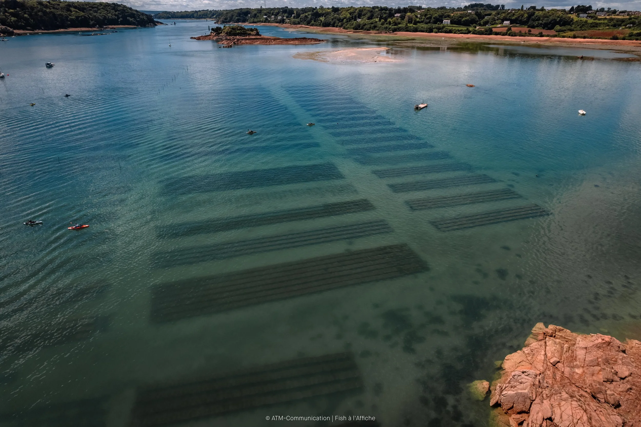 FISH À L'AFFICHE DRONE 1  (12 sur 19).jpg