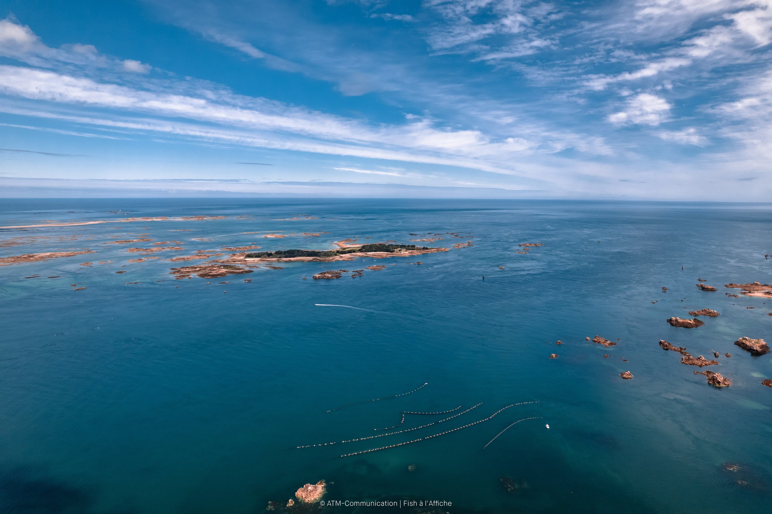 FISH À L'AFFICHE DRONE 1  (4 sur 19).jpg