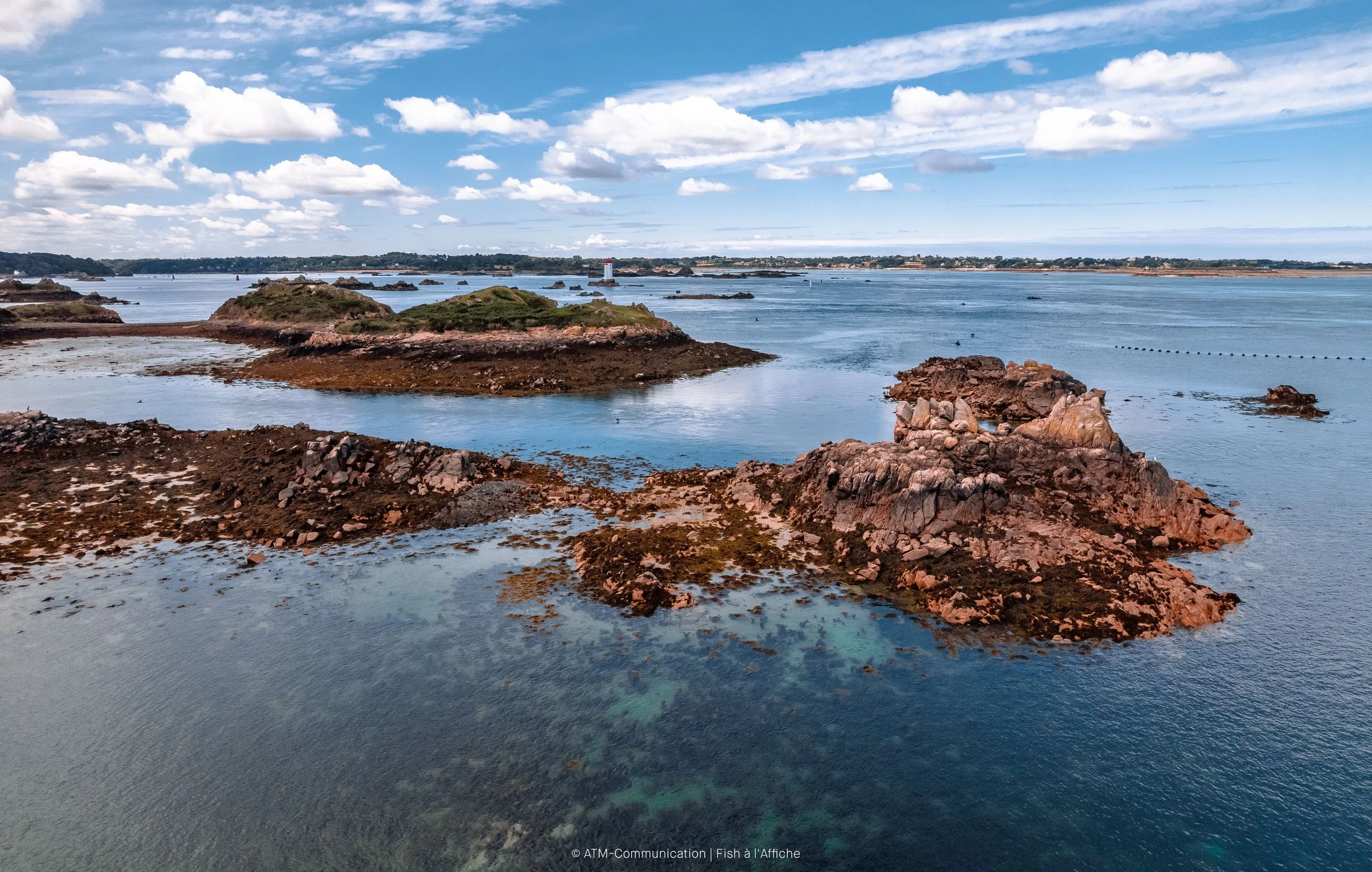 FISH À L'AFFICHE DRONE 1  (1 sur 19).jpg