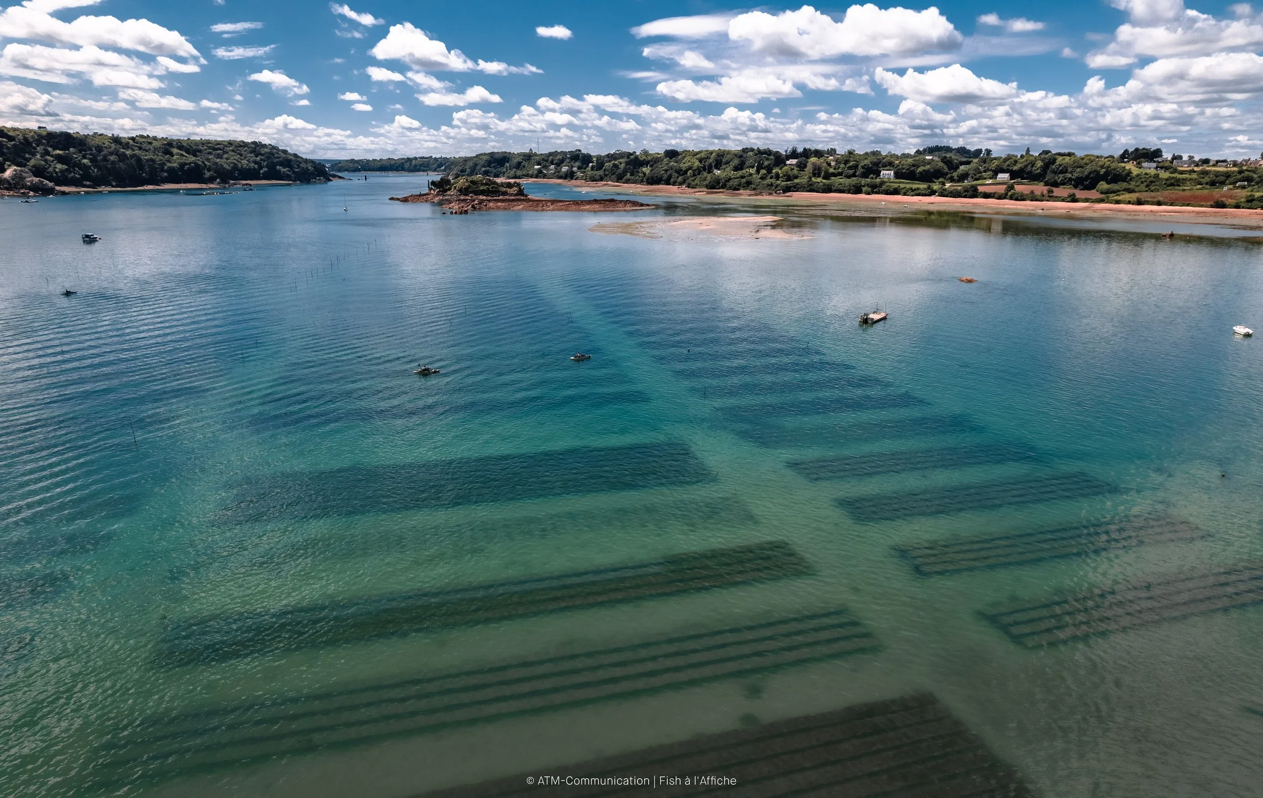 FISH À L'AFFICHE DRONE 1  (11 sur 19).jpg