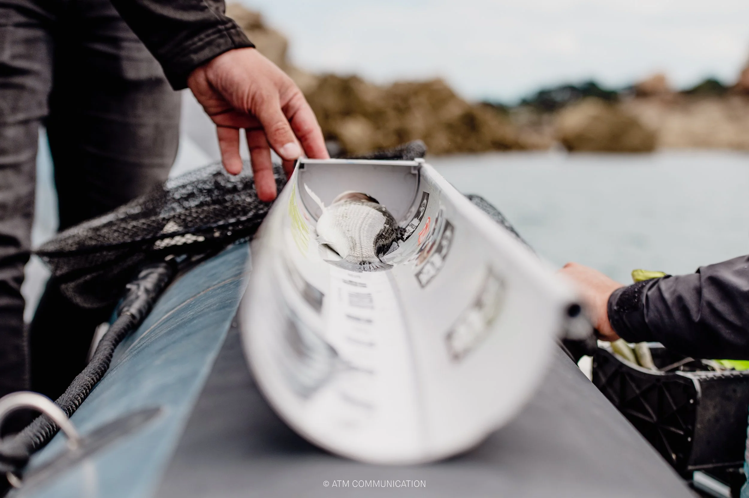 FISH A l'AFFICHE-74.jpg