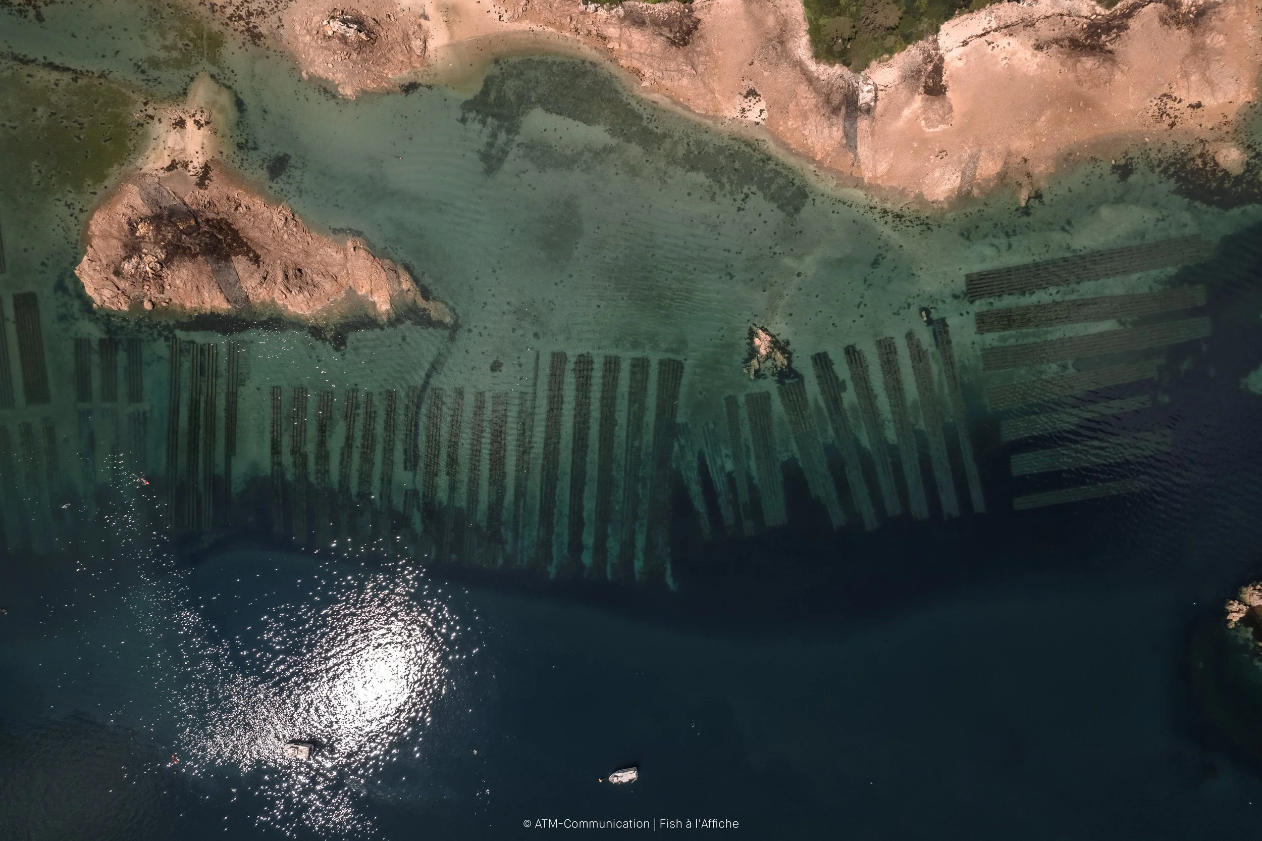 FISH À L'AFFICHE DRONE 1  (16 sur 19).jpg